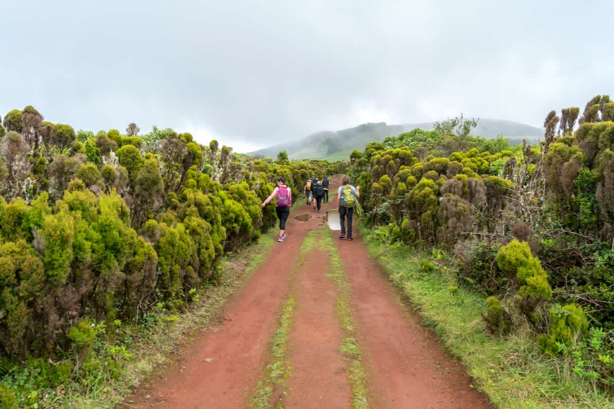 Wanderweg mit nebeliger Hügellandschaft im Hintergrund