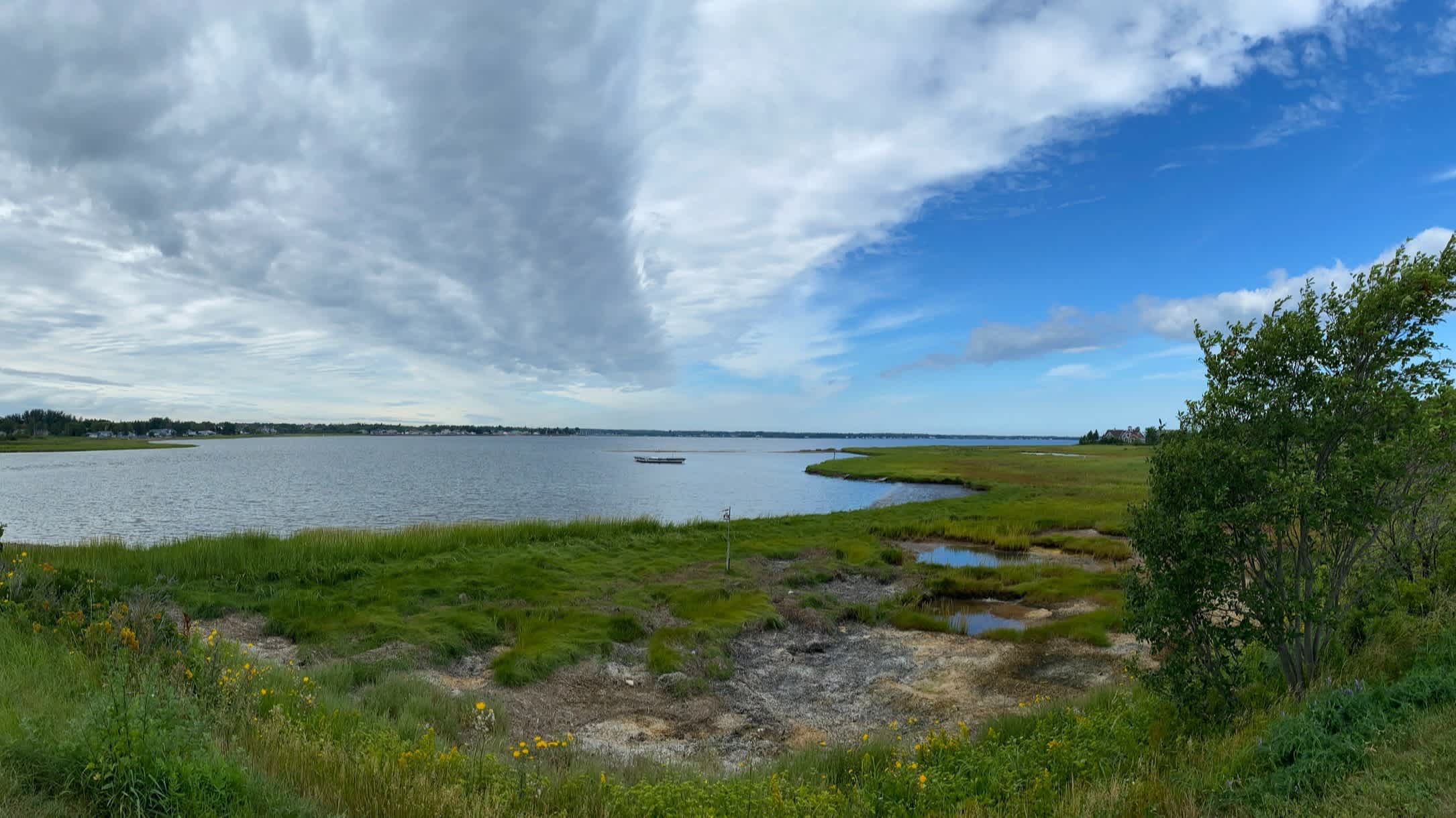 Der Strand Parlee Beach in New Brunswick, Kanada mit imposanten Wolken am sonst sonnigen Himmel und grüner Vegetation im Bild.