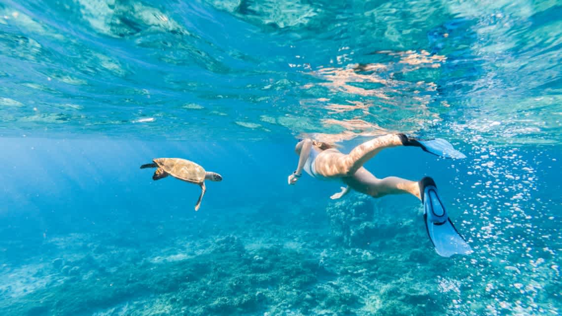 Une femme fait de la plongée en apnée accompagnée par une tortue de mer