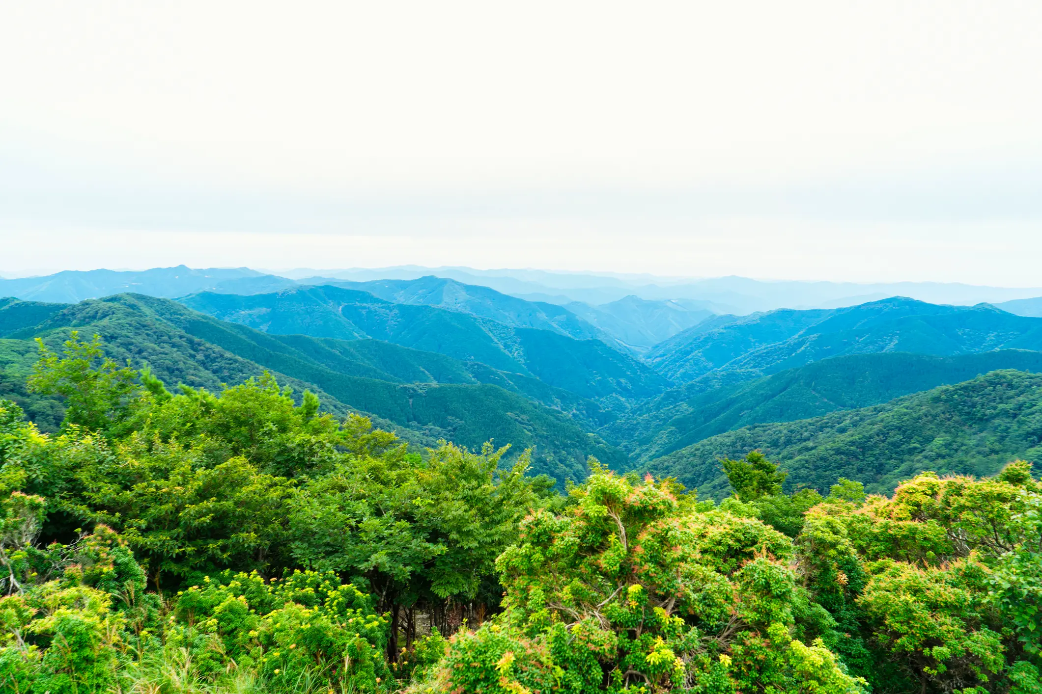 Japan, Wakayama Ein Blick auf der japanischen Berglandschaft in der Wakayama Präfektur.