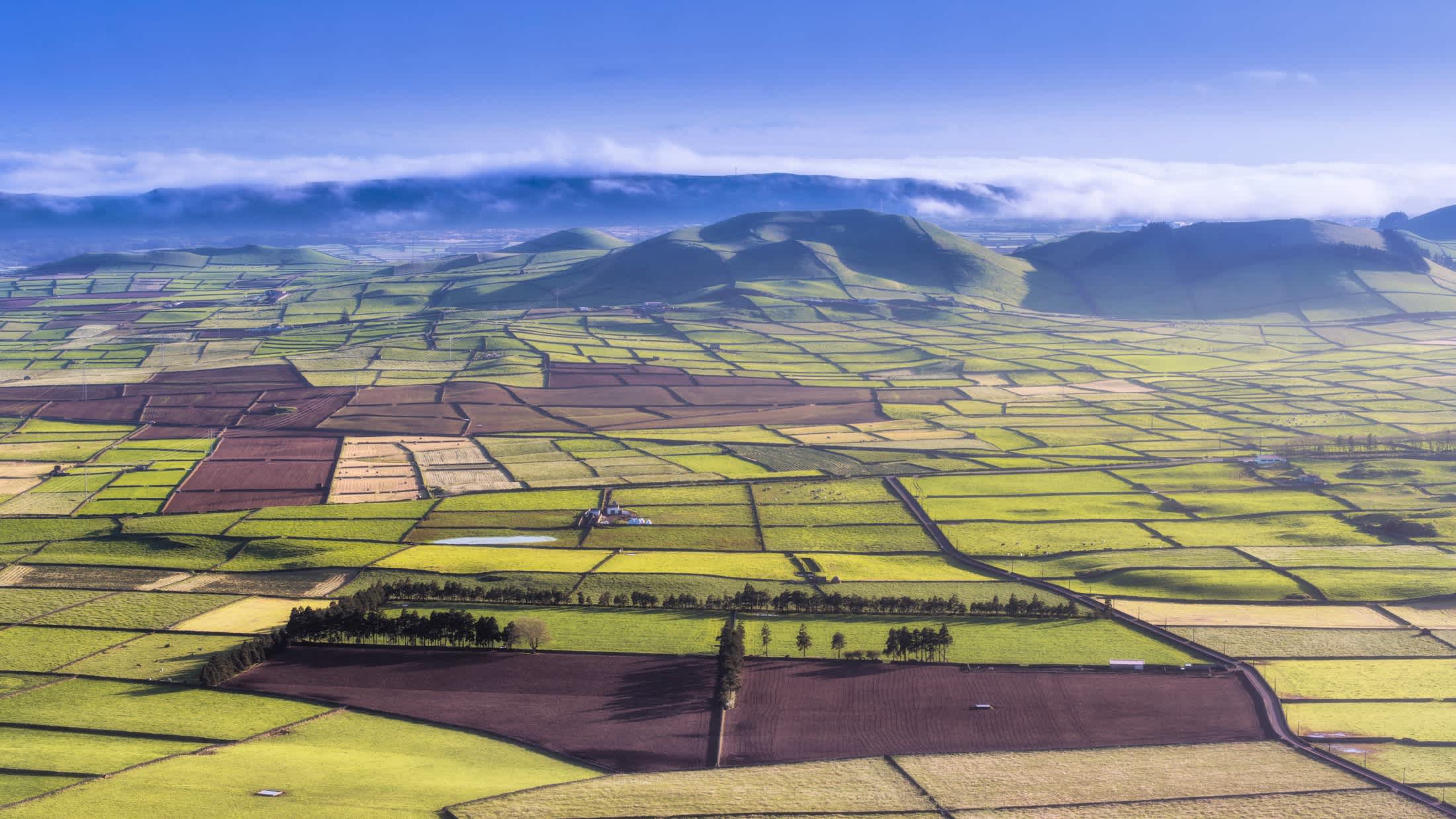 Terres agricoles et paysage sur l'île de Terceira, Açores