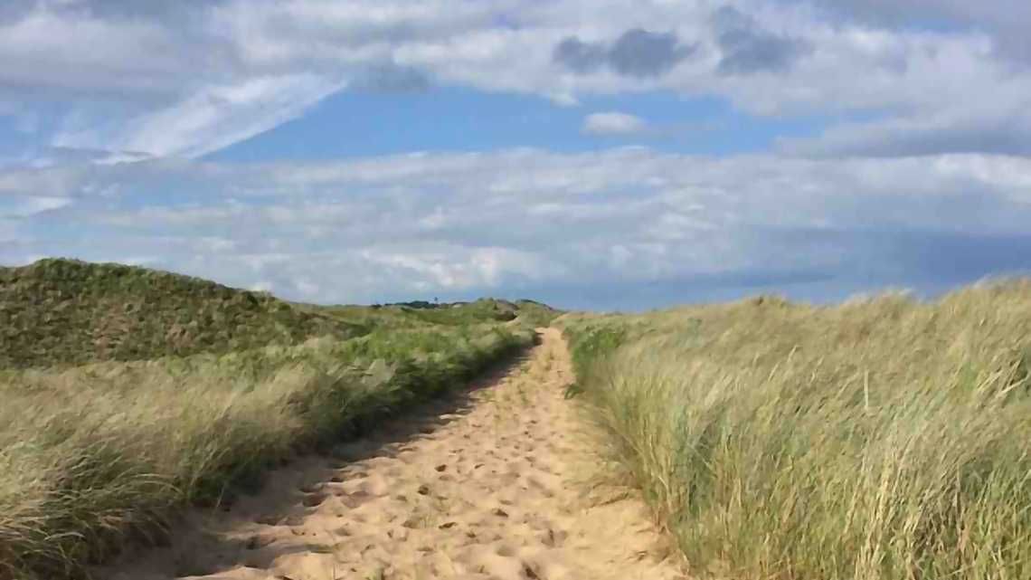 Chemin sablonneux vers la plage de Curracloe à Wexford, Irlande