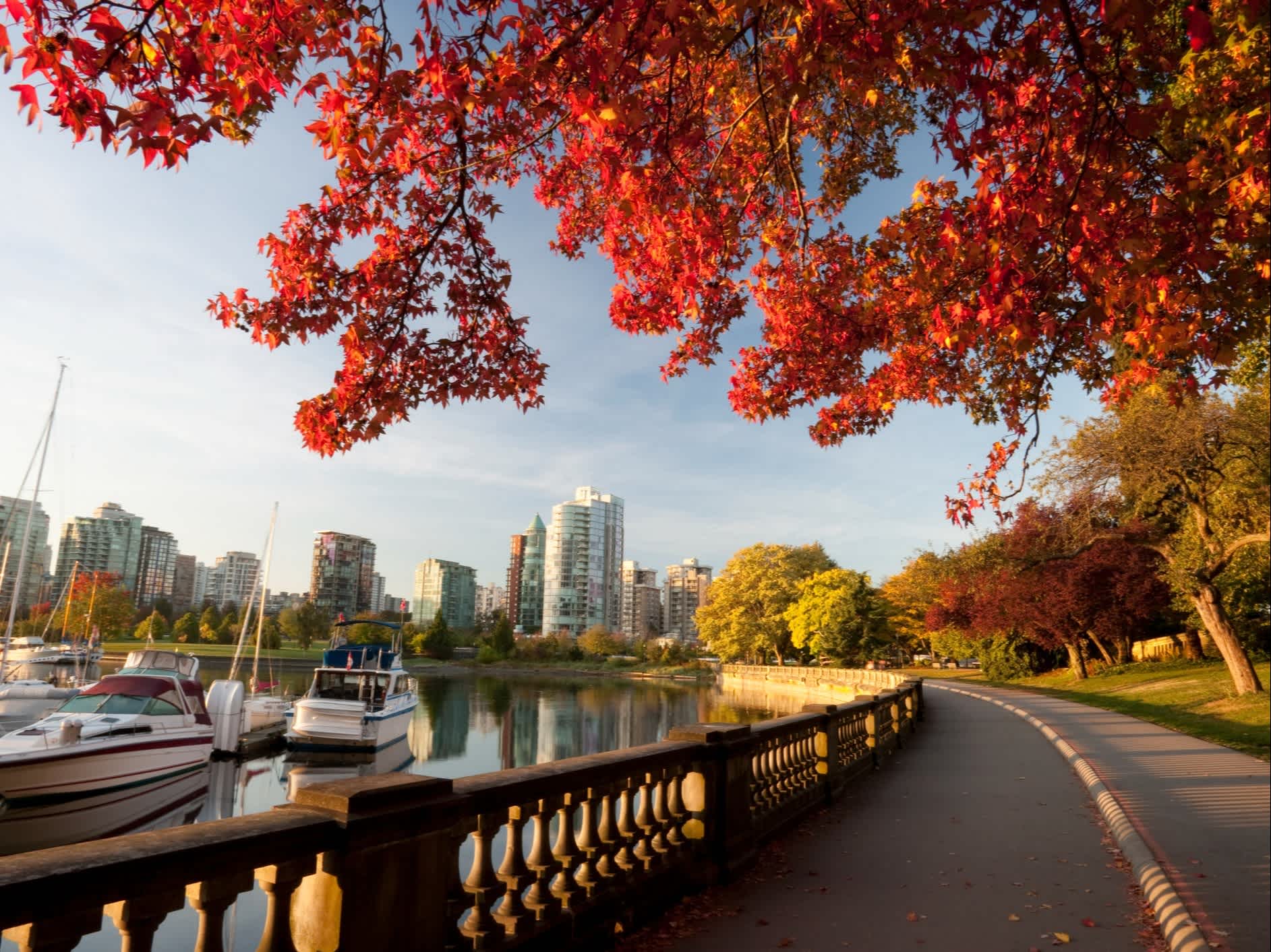 Der Stanley Park im Herbst mit rotem Laub und Booten.
