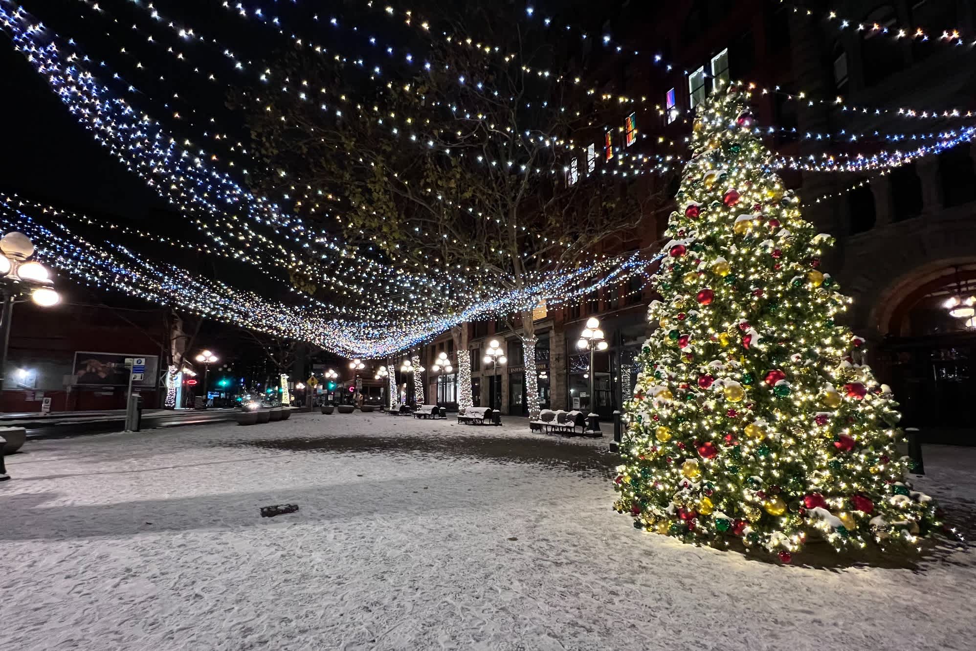 Ein verschneiter Weihnachtsbaum auf dem Pionierplatz.