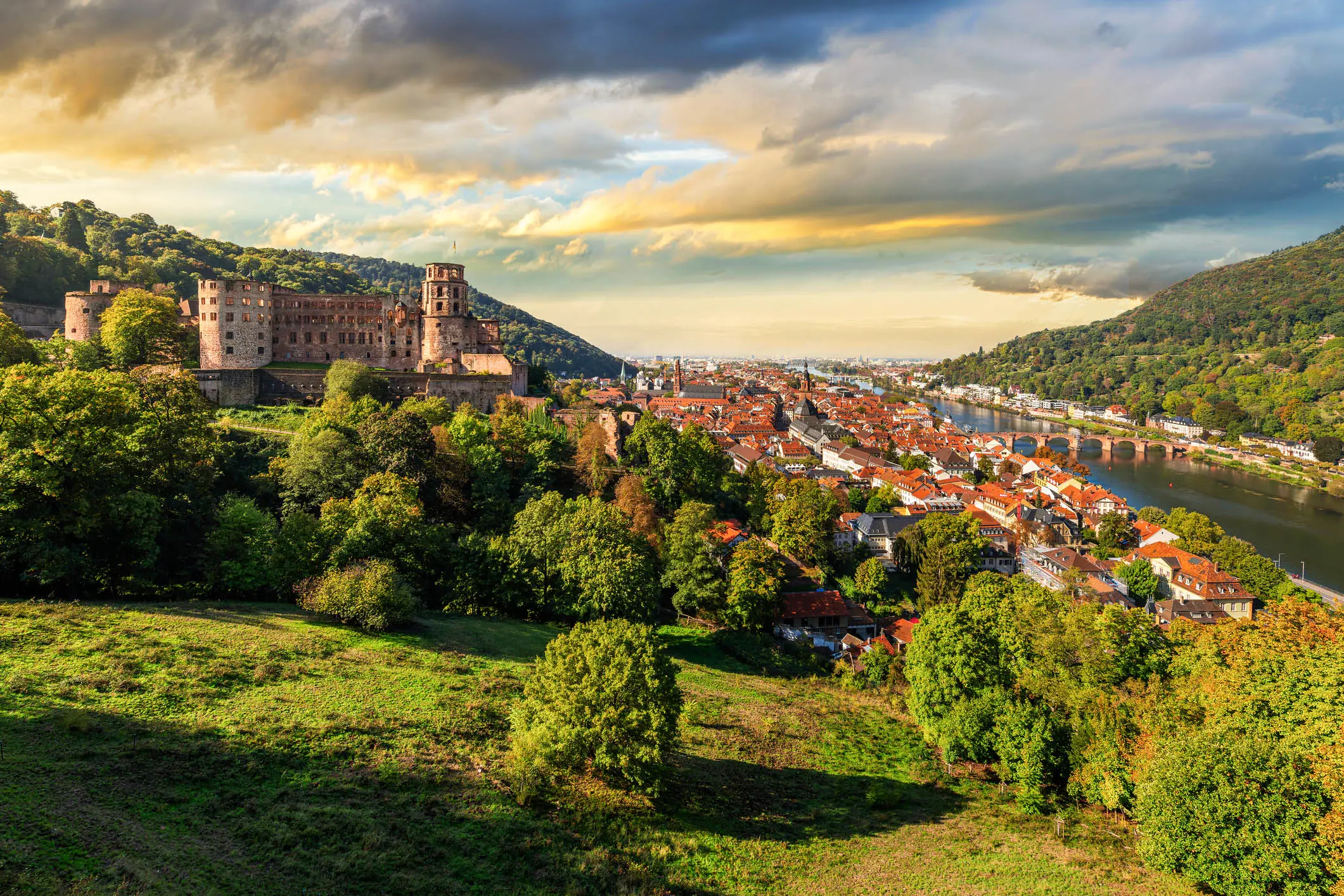Black Forest - Germany, Germany, Heidelberg Castle, Heidelberg - Germany, Castle
