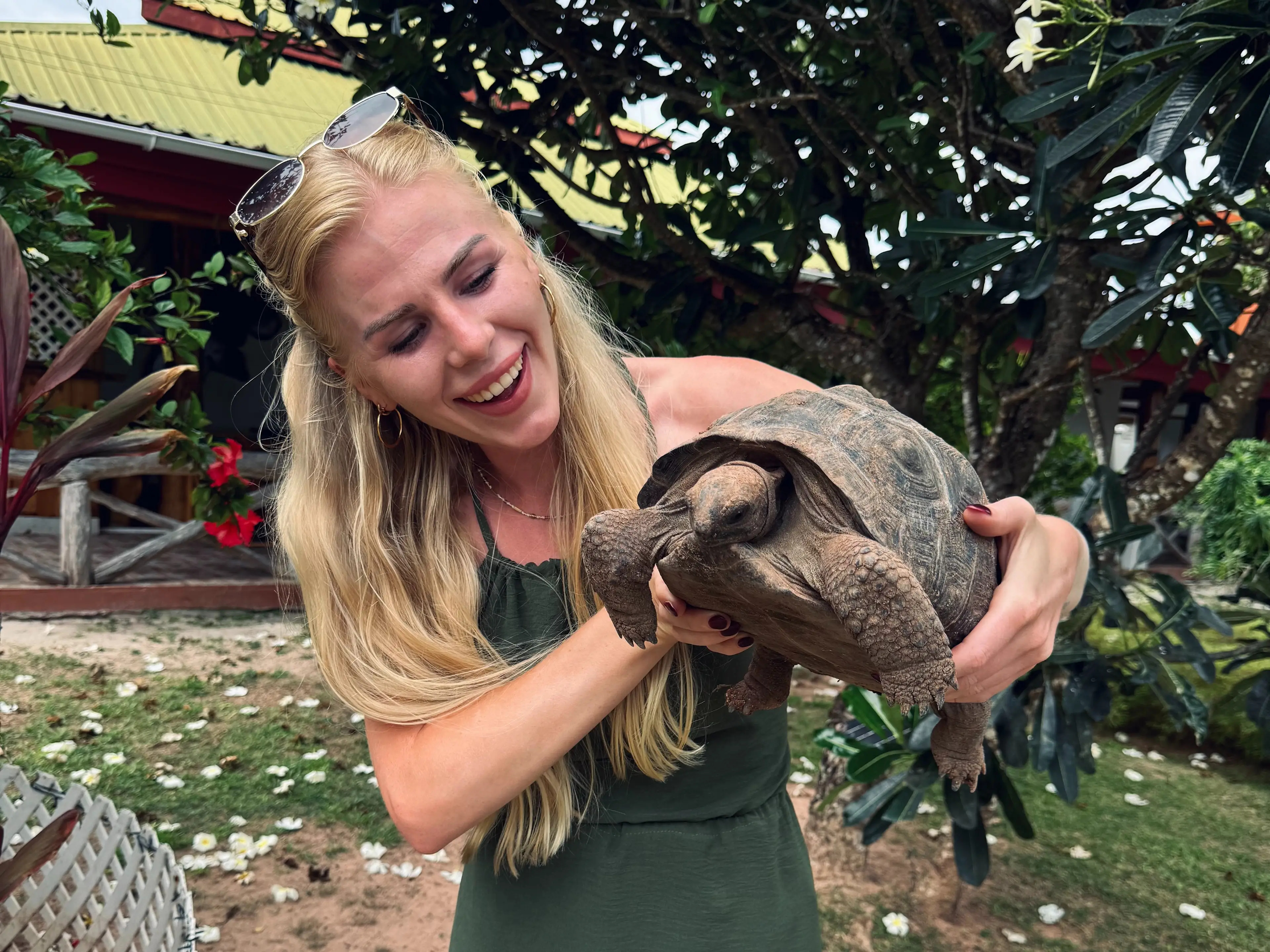 Linda Maria Binkmann, Schildkröte