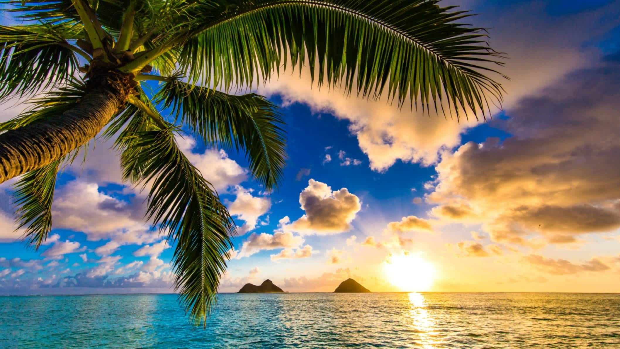 Der Stand Lanikai Beach, Oahu, Hawaii , USA bei Sonnendämmerung und mit Blick auf das Meer sowie vorgelagerten Inseln und einer Palme im Bild.