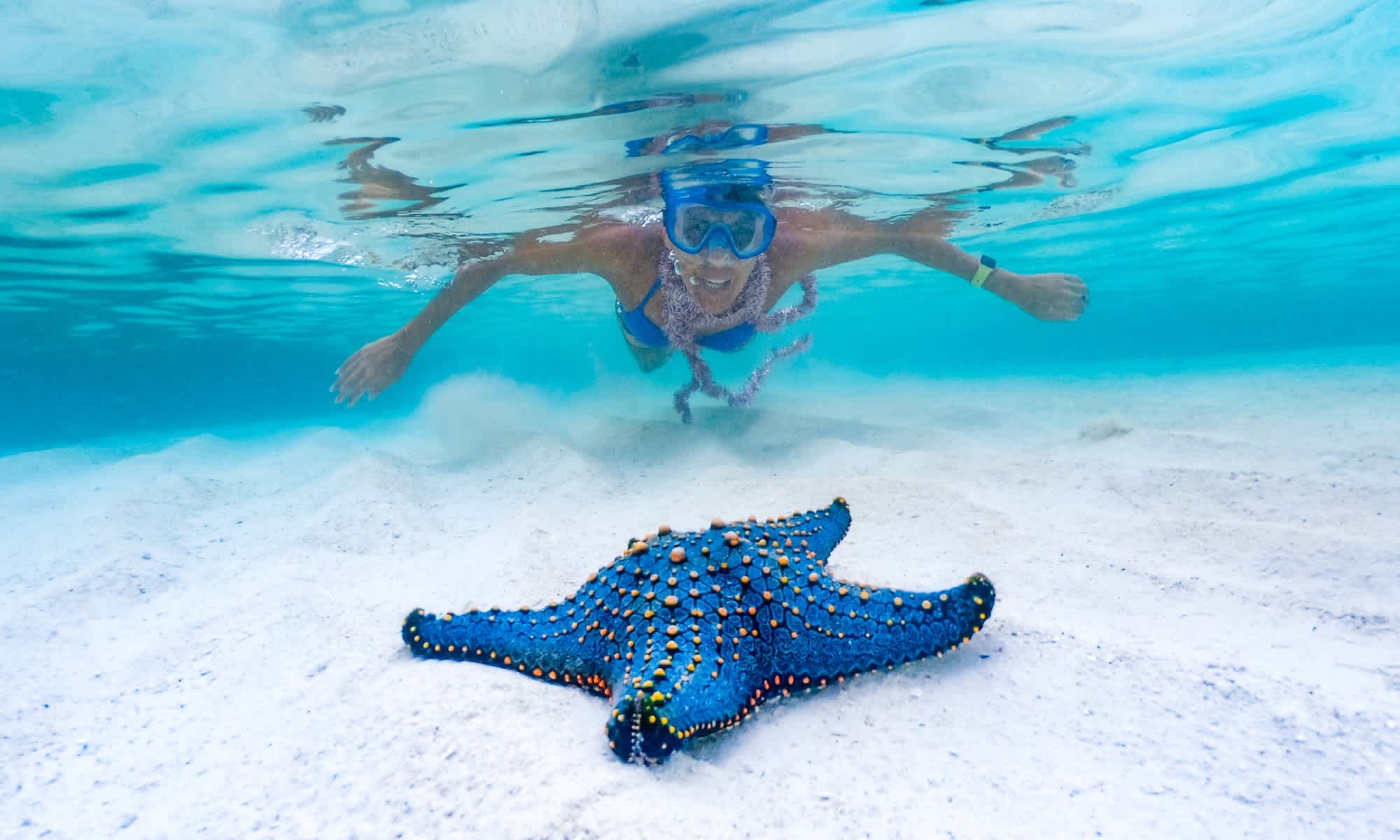 Femme en plongée devant une étoile de mer bleue