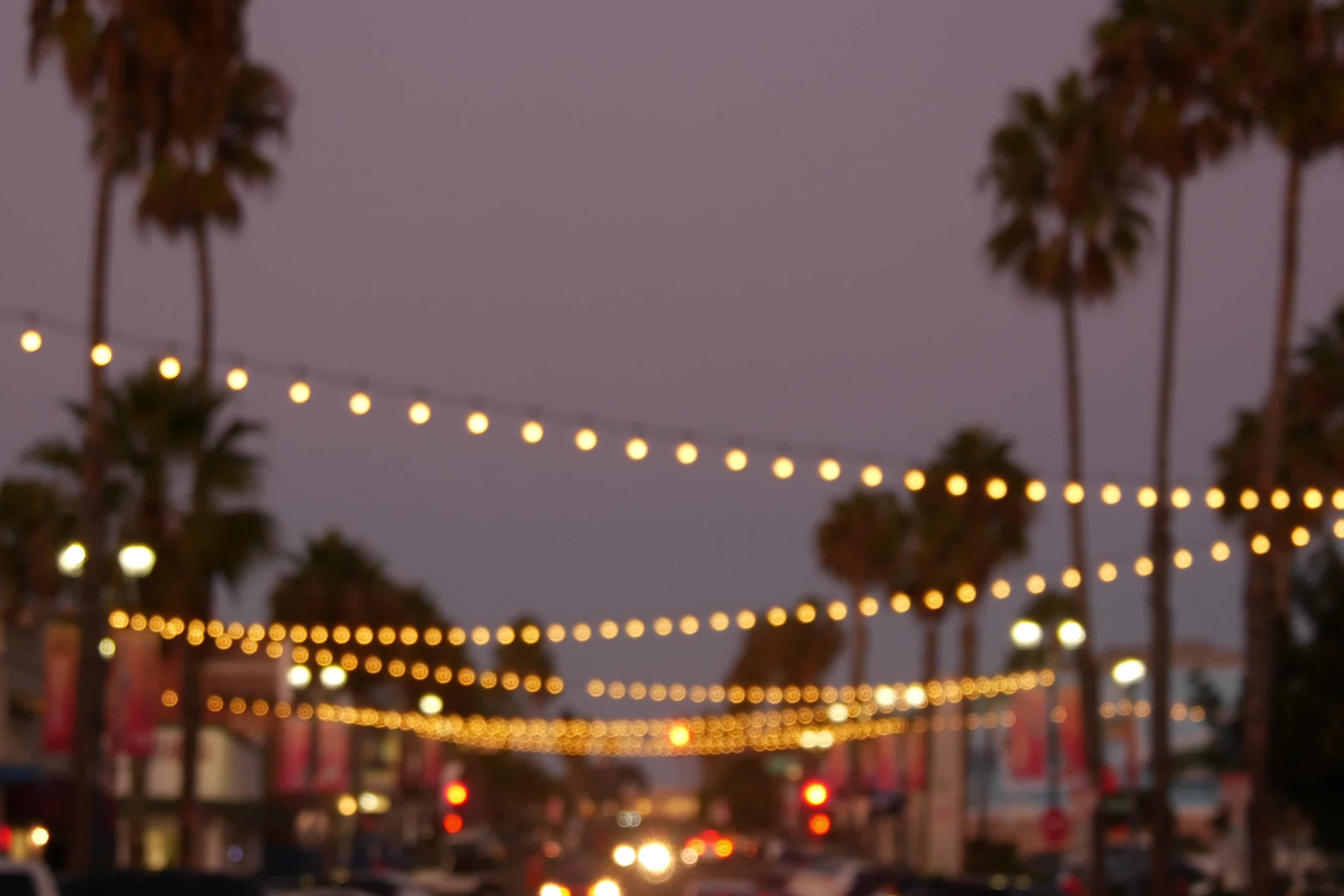 Dekorative starrende Girlandenlichter, Palmen Silhouetten, Abendhimmel. Verschwommener Hintergrund. Straße mit Lampen in Kalifornien dekoriert. Festliche Beleuchtung, Strandparty, tropisches Urlaubskonzept.