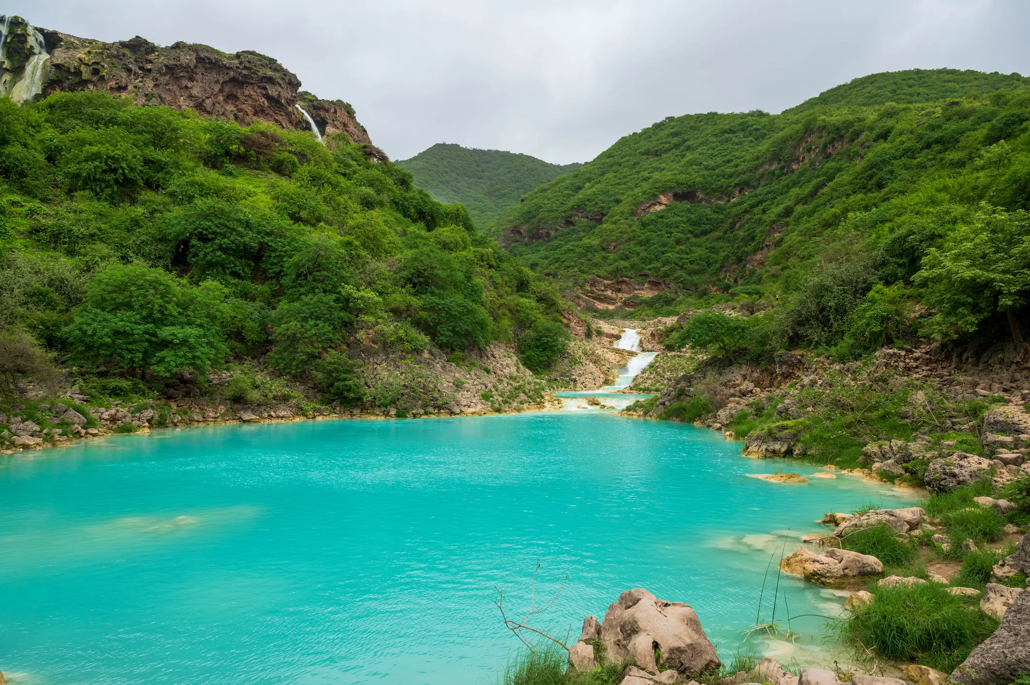 Un wadi rempli d'eau et entouré de vert pendant le Khareef.