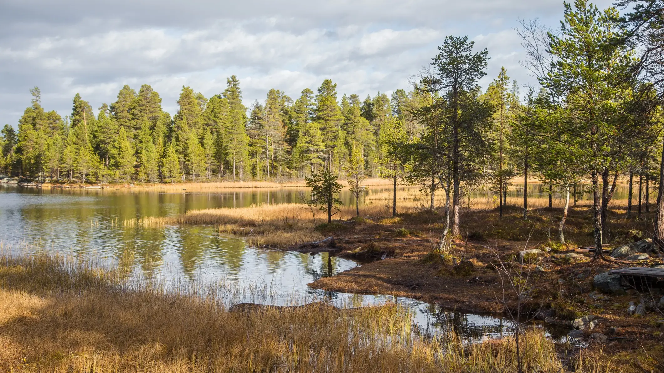 Parc national de Femundsmarka en Norvège.
