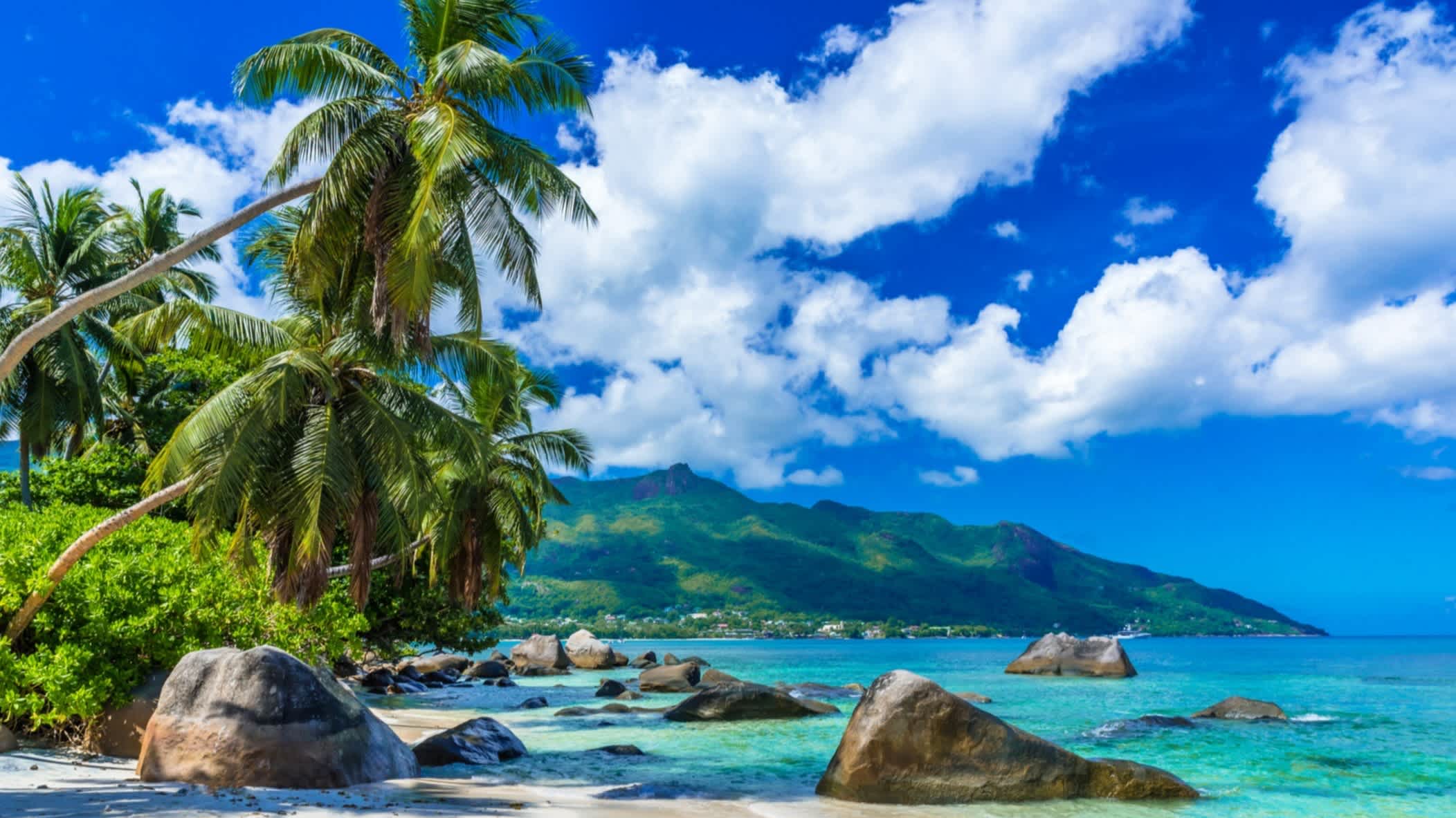 Die traumhafte Bucht von Beau Vallon auf der Insel Mahé auf den Seychellen bei blauem Himmel mit ein paar harmlosen Wolken und malerischen Wasser sowie den Bergen Mahés im Hintergrund.
