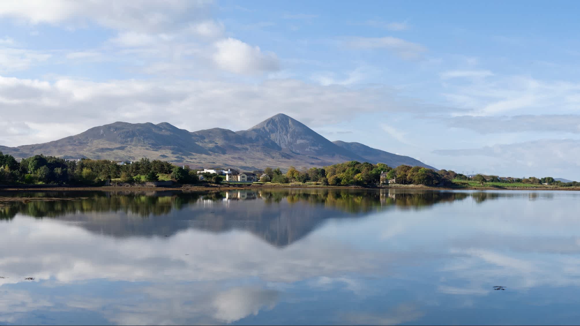 Sentier, rochers et végétation sur le mont Croagh Patrick avec Westport en arrière-plan, Westport, Irlande