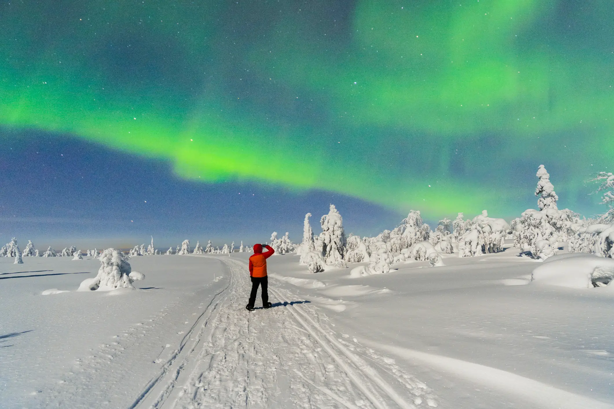Finnland, Nordlicht, Polarlicht, Schnee, Finnisch-Lappland Finnland, Nordlicht, Polarlicht, Schnee, Finnisch-Lappland