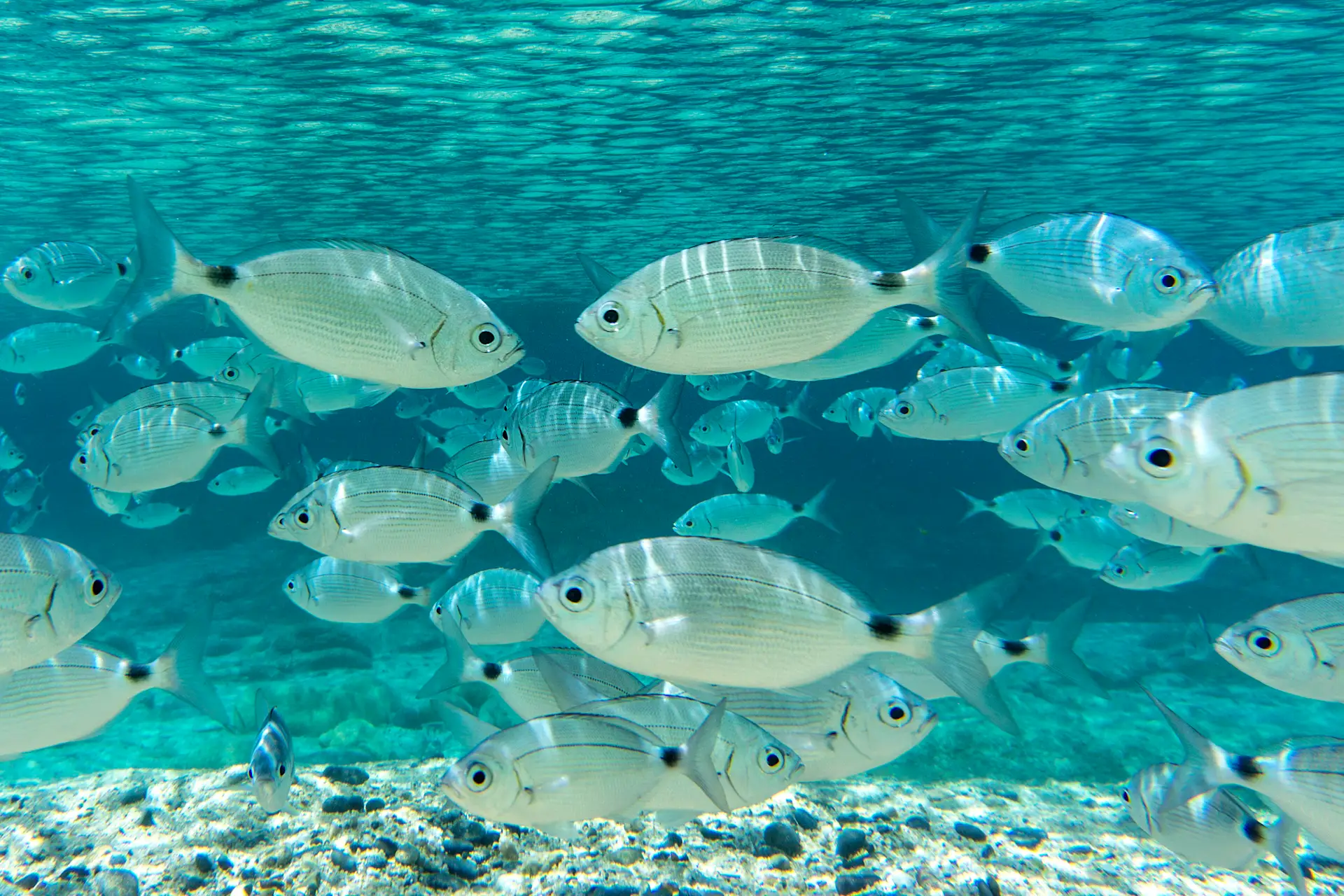 Beste Reisezeit für Sardinien: Klima, Wetter & Tipps | Tourlane