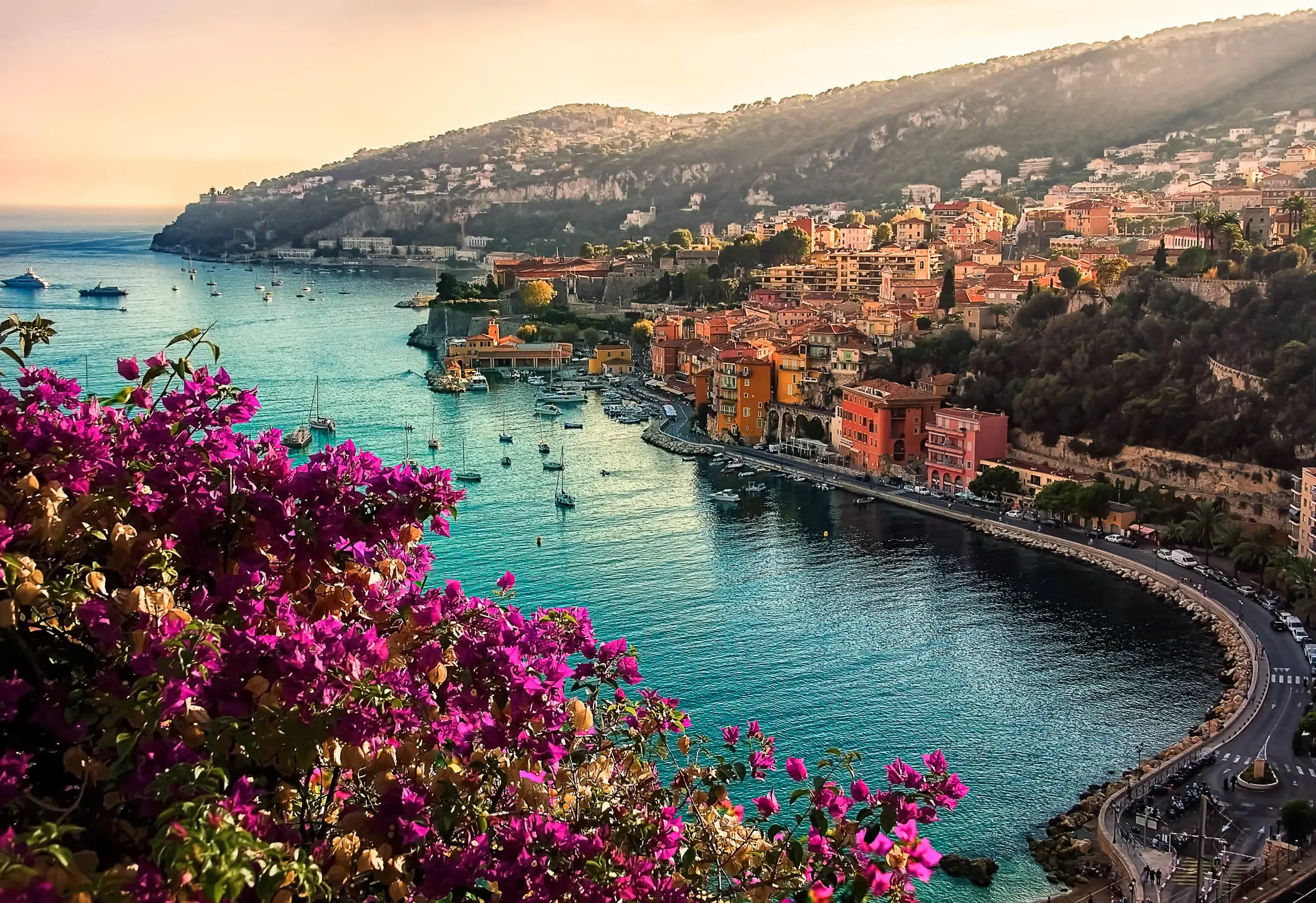Sunset view of French Riviera coastline with vibrant pink bougainvillea flowers, turquoise water, and colorful hillside buildings.