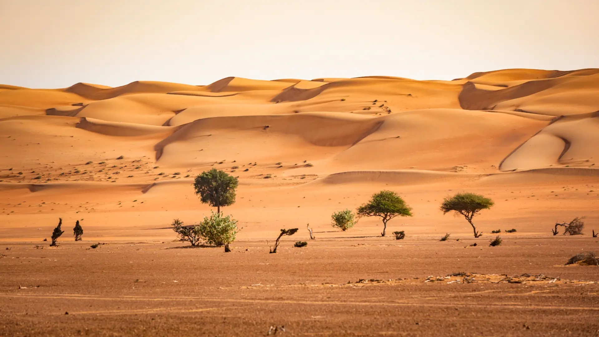 Excursion dans le désert à Oman nos conseils Tourlane — free download