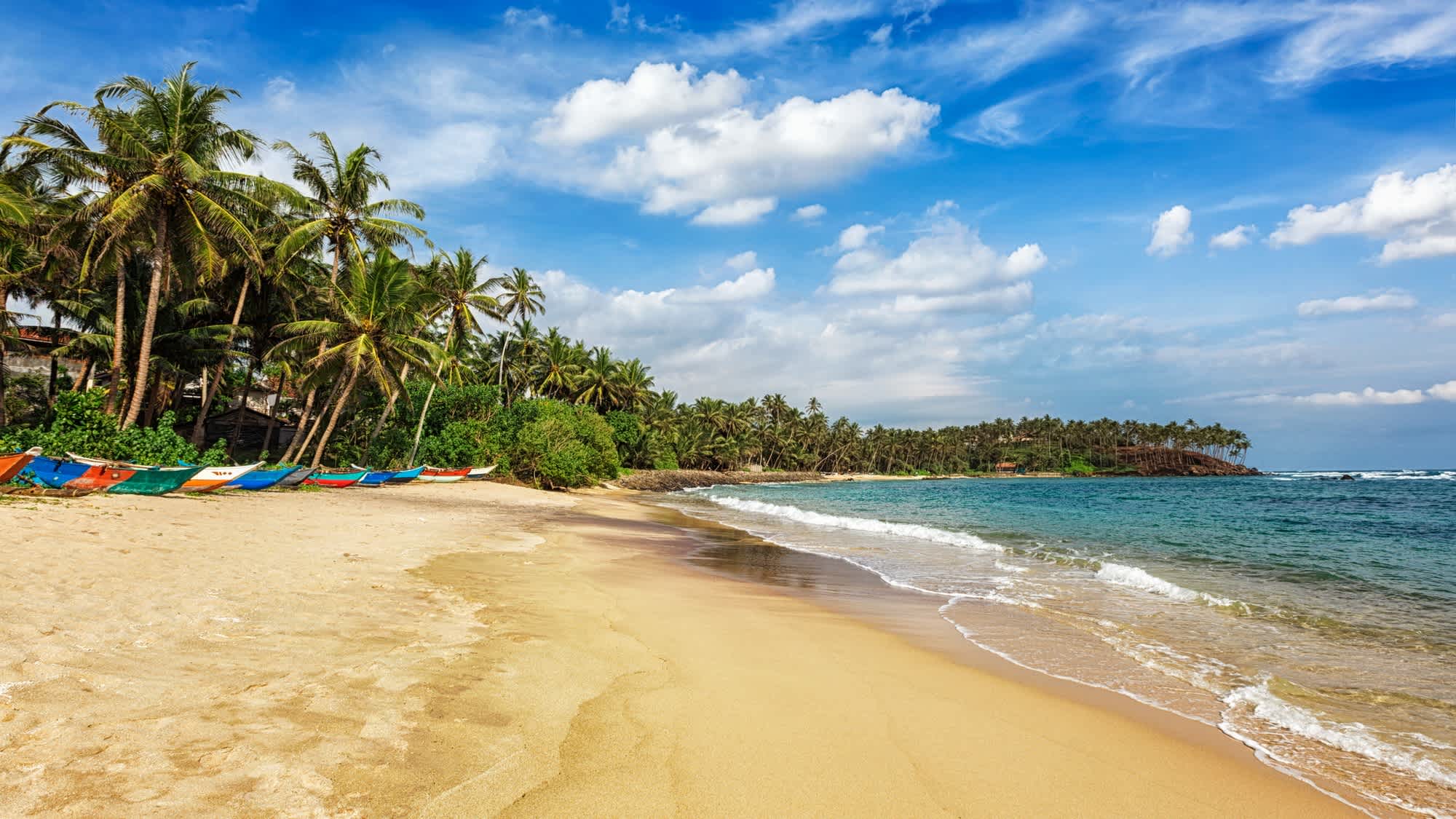 Bateaux colorés sous les palmiers au bord du sable sur la plage de Mirissa au Sri Lanka