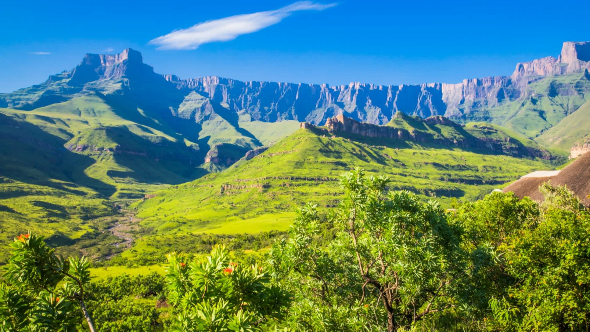 Paysage de montagnes verdoyantes dans le parc national du Drakensberg