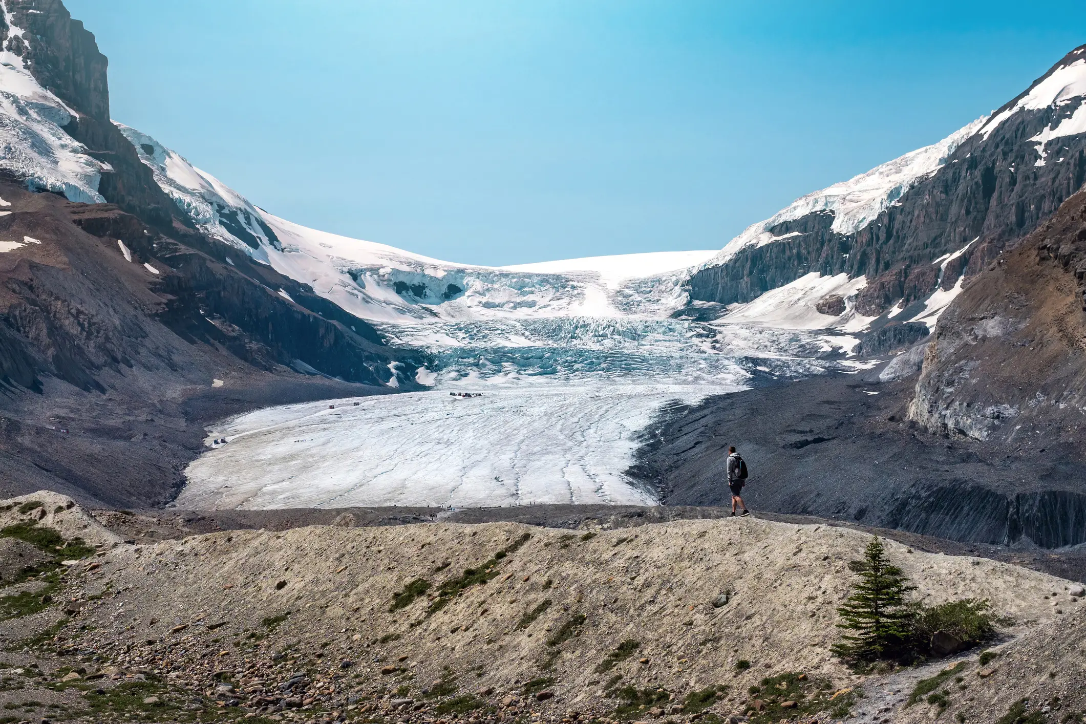 Canada, Alberta, Parc national de Jasper Glacier Athabasca dans le parc national de Jasper, Alberta, Canada.