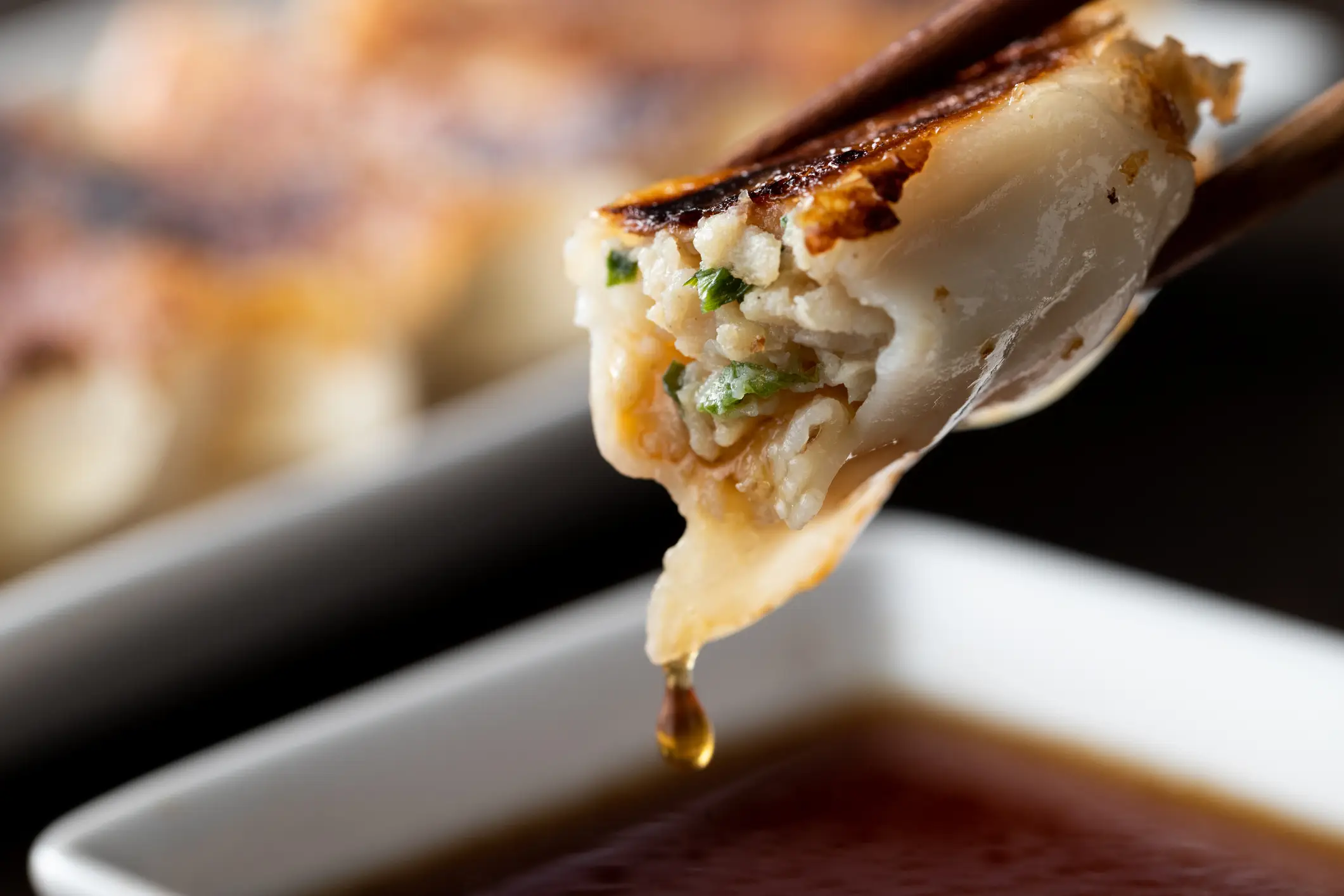 Japan, Gyoza Gyoza
