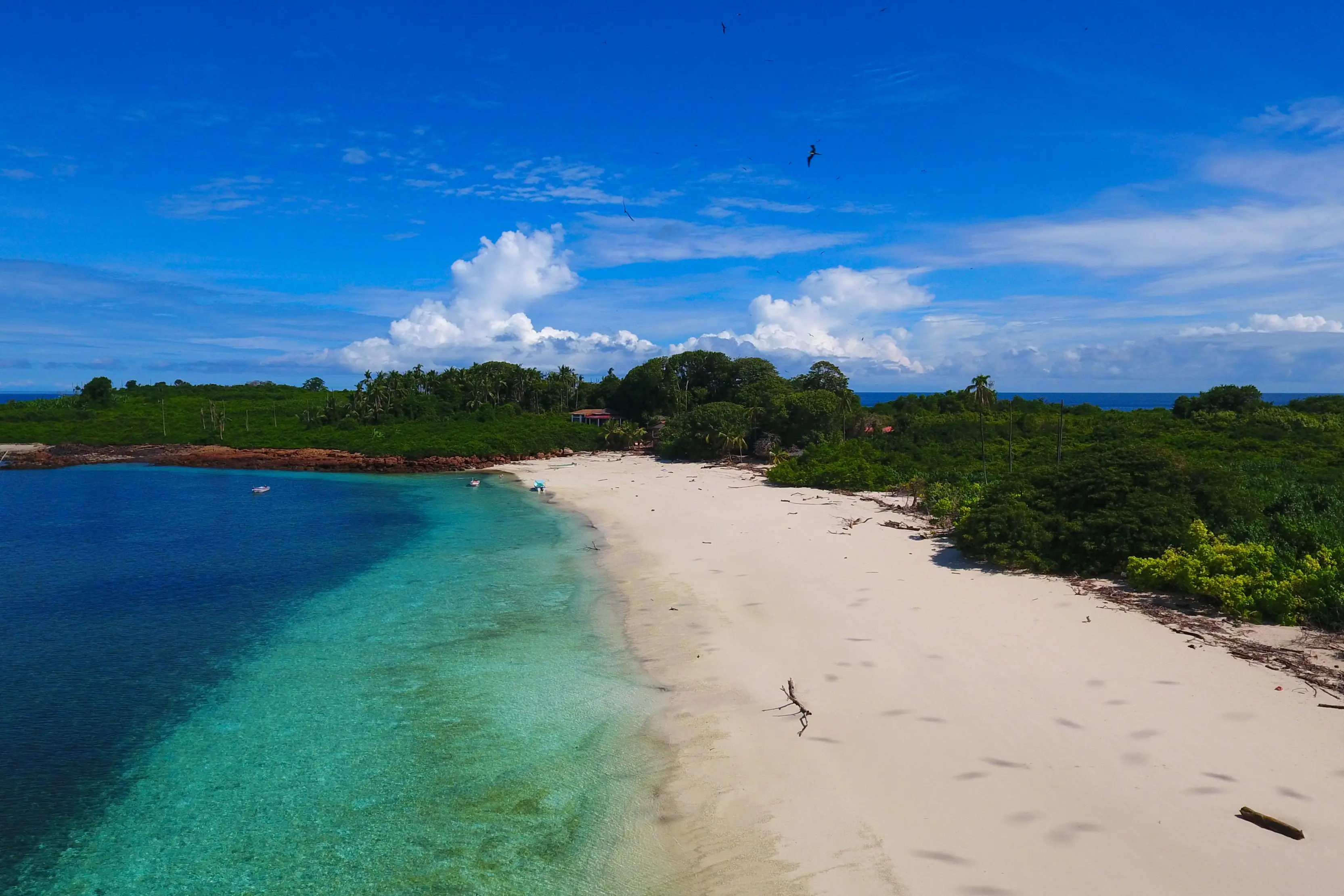 Luftaufnahme des türkisfarbenen Strandes mit weißem Sand, Isla Iguana, Panama. 

