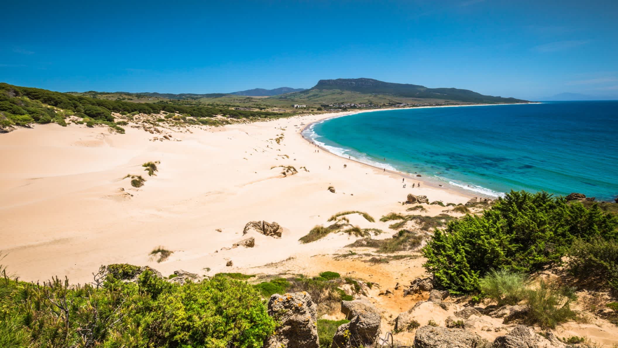 Sanddüne von Bolonia Strand, Provinz Cadiz, Andalusien, Spanien.

