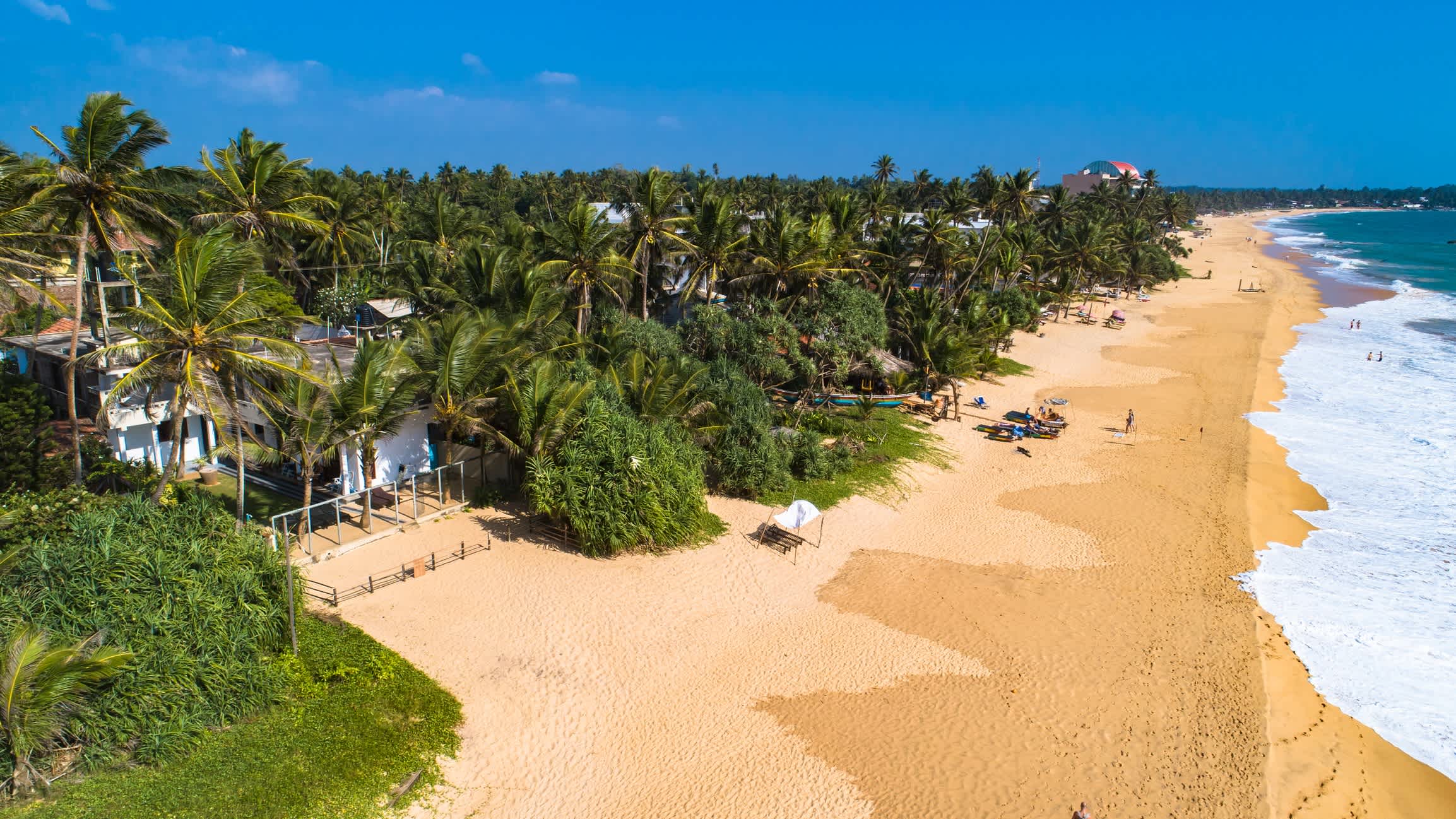 Vue aérienne du sable doré de la plage de Hikkaduwa entourée de palmiers au Sri Lanka