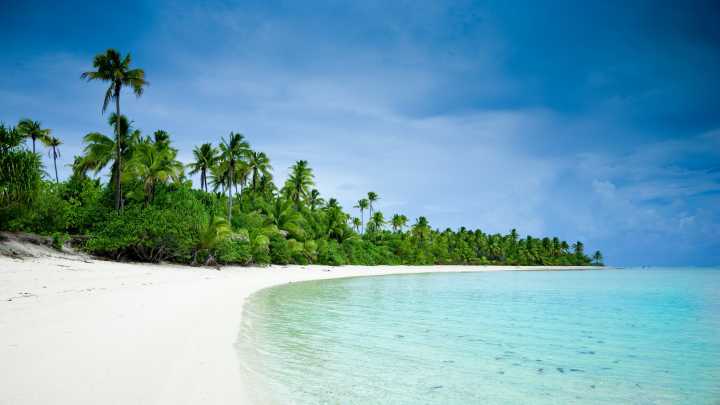 Weißer Sandstrand und Palmen der Cook Inseln