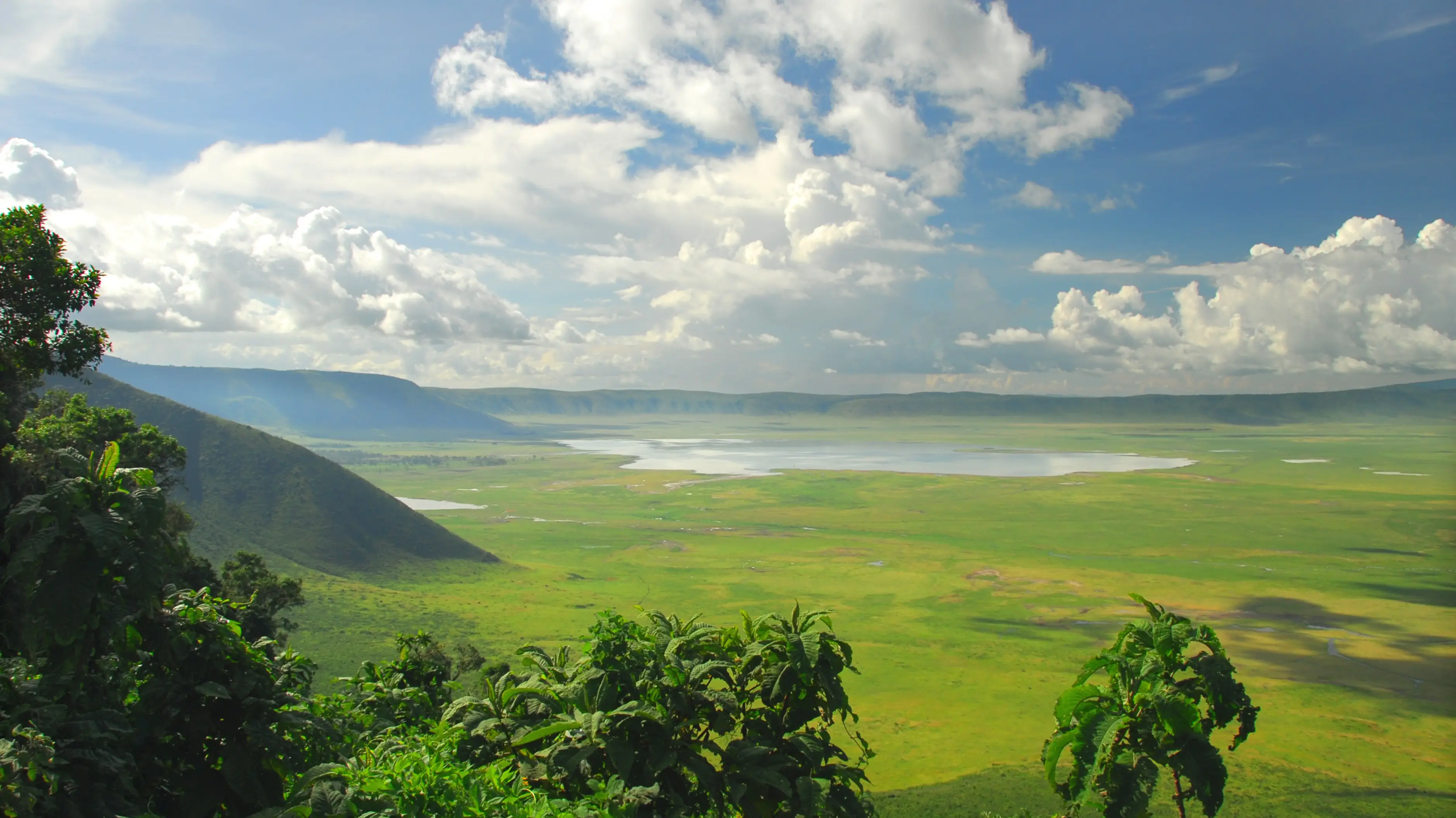 Grüne Landschaft am erloschenen Ngorongoro-Krater an einem leicht bewölkten Tag