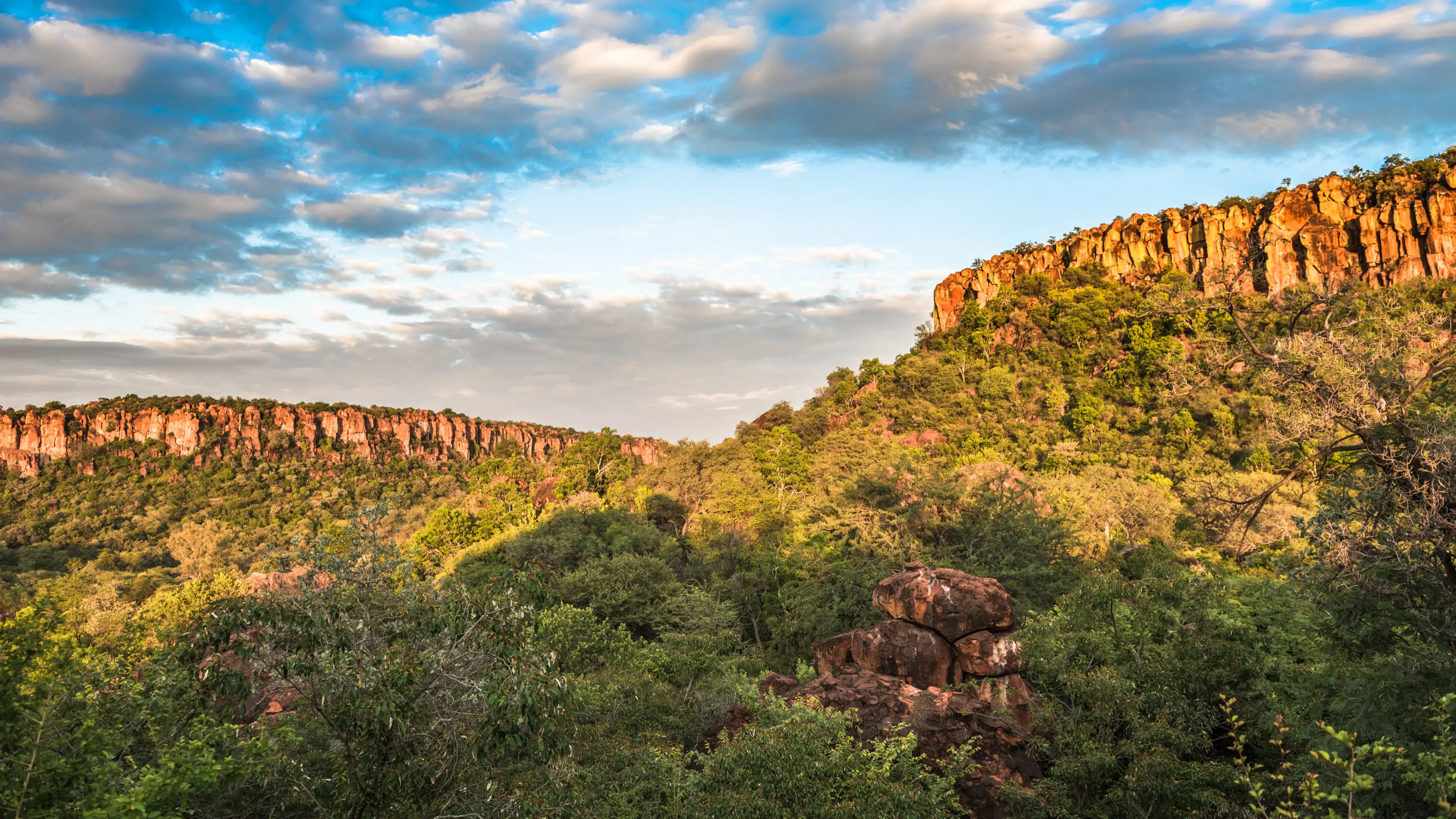 Namibie, Plateau de Waterberg