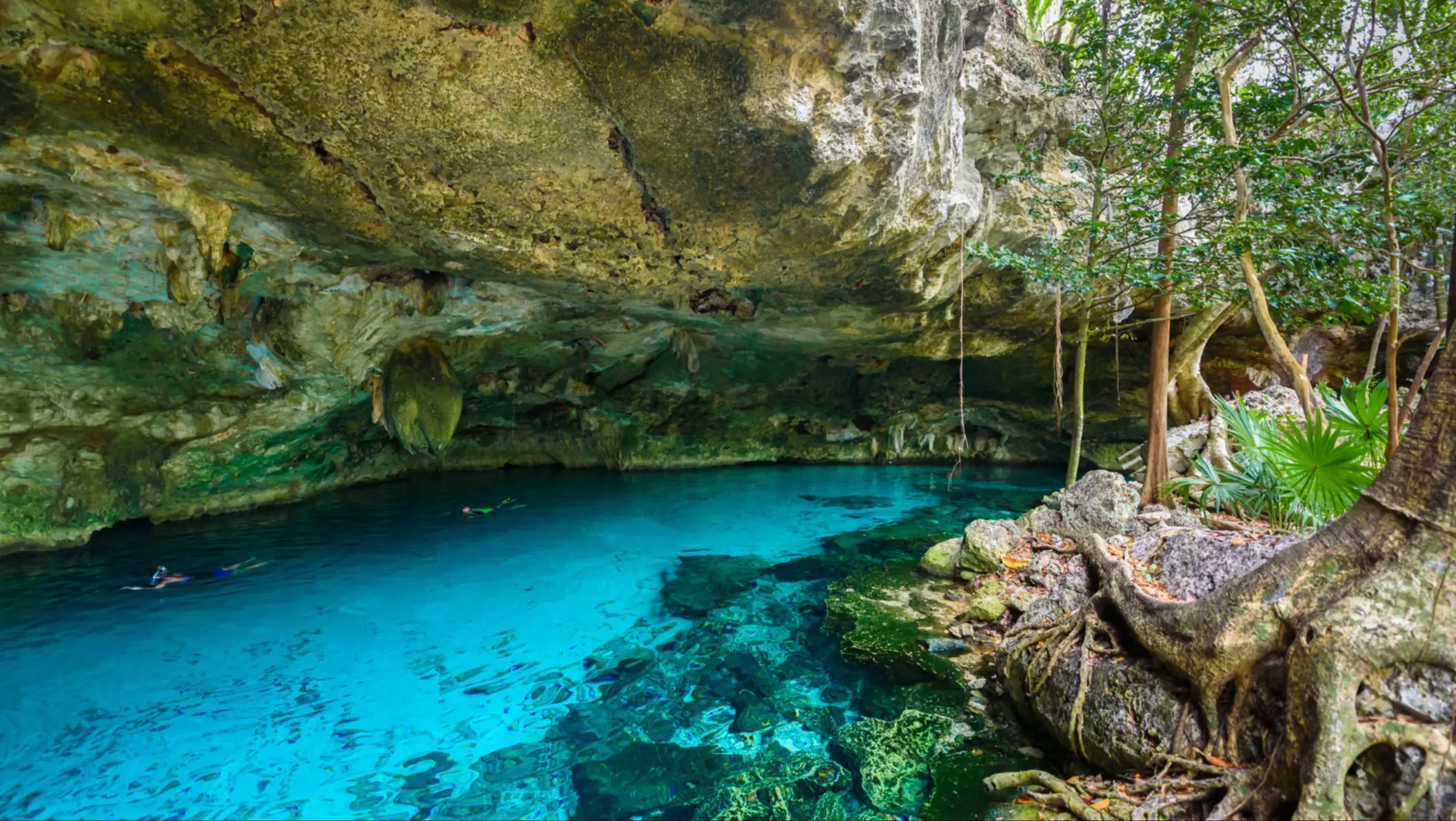 Mexique, Cenote Dos Ojos Cenote Dos Ojos au Quintana Roo, Mexique, près de Tulum sur la péninsule du Yucatan
