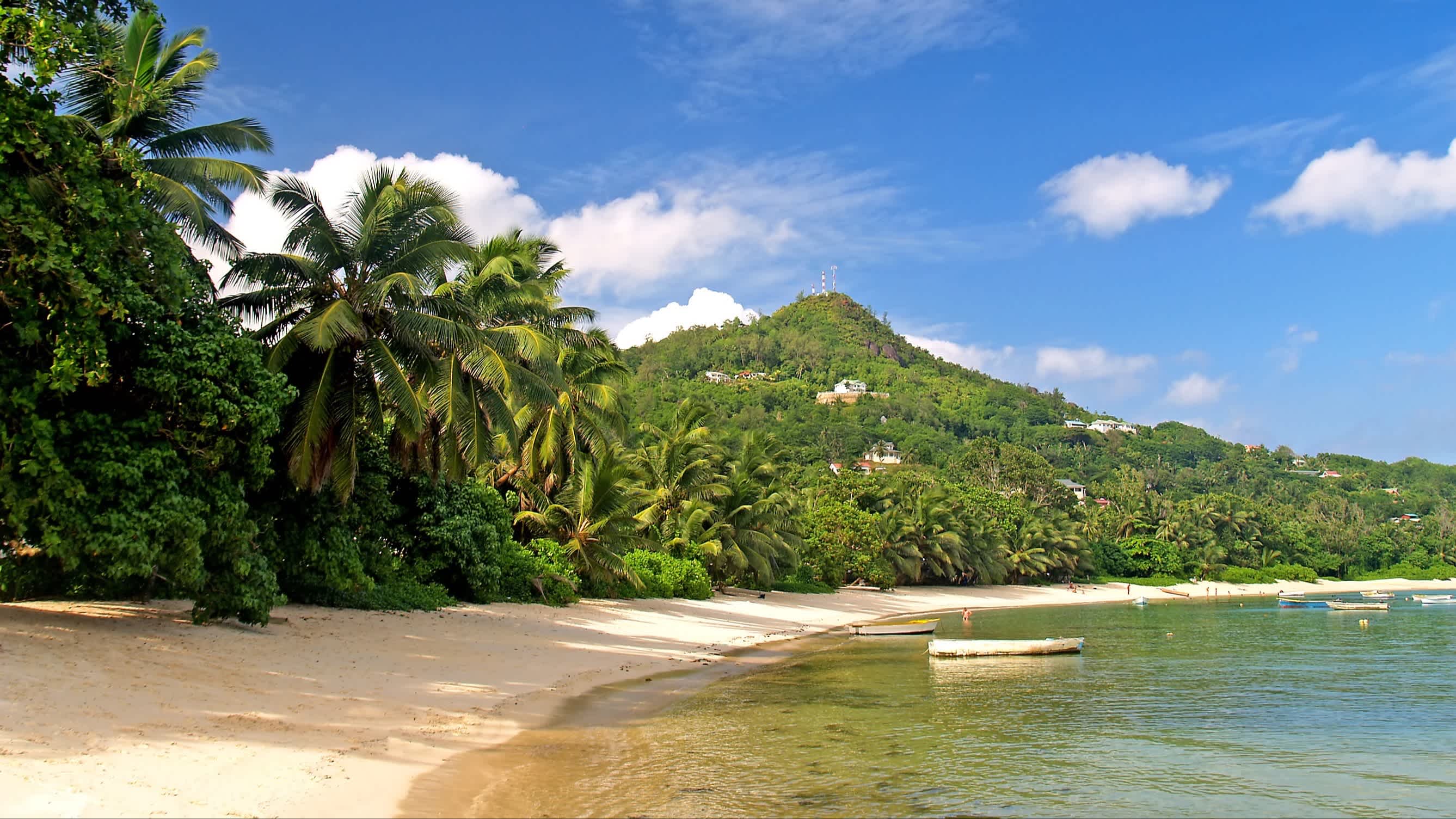 Tropischer Strand Anse Aux Poules Bleues auf der Insel Mahé, Seychellen bei Ebbe mit Menschen im Wasser und kleinen Booten sowie Palmen und grüner Vegetation bei Sonnenschein.