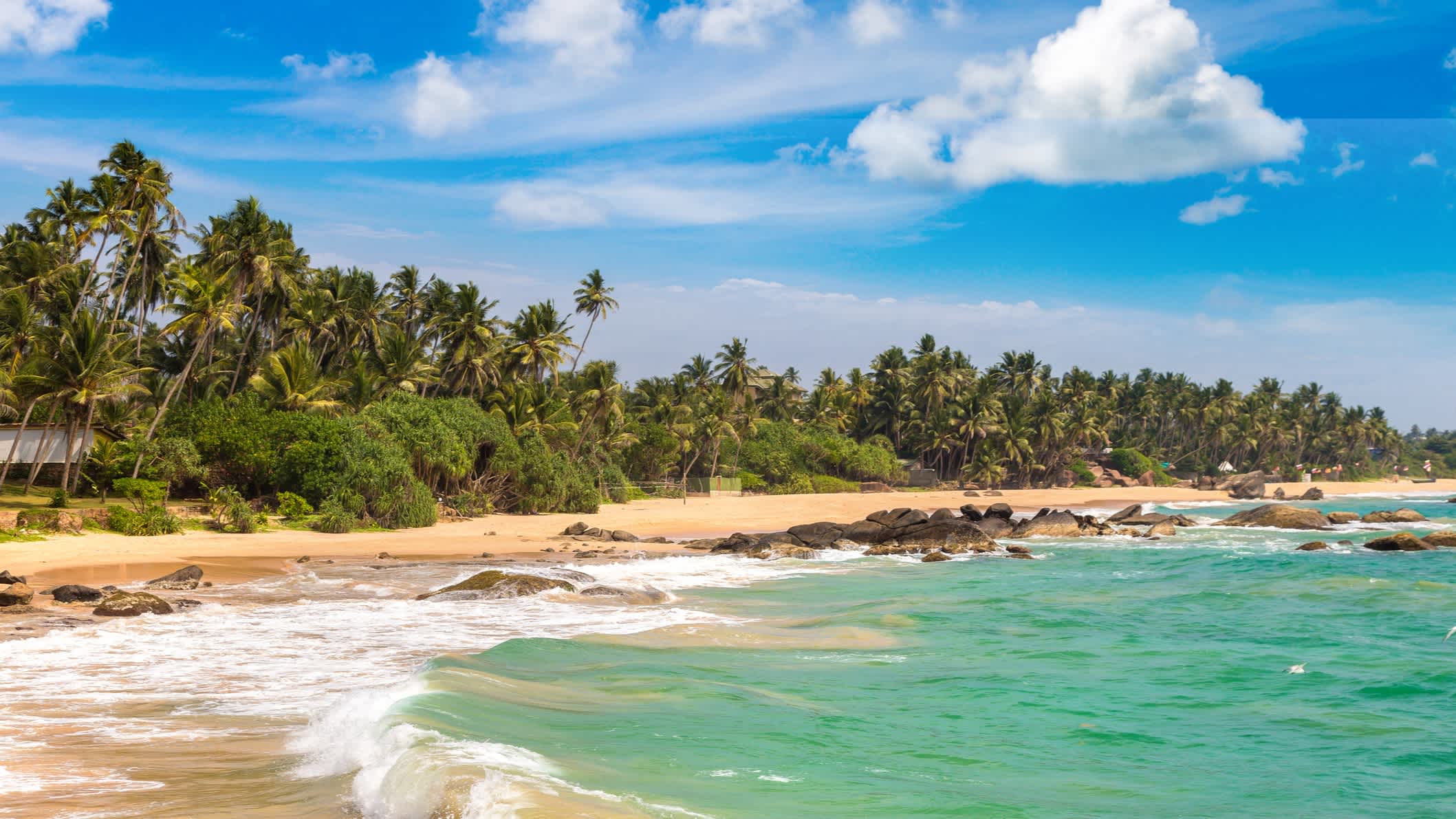 Blick zum Dalawella Beach in Sri Lanka