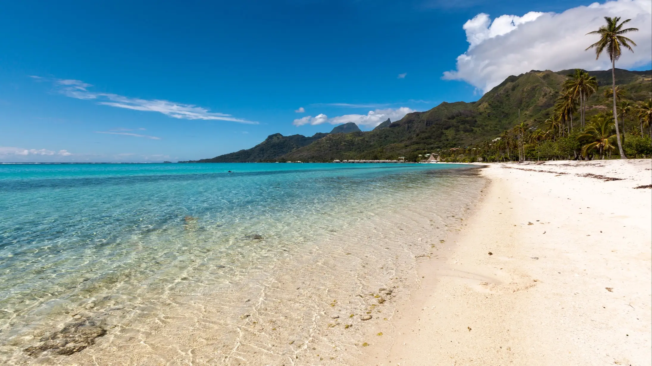 Tropischer Strand mit türkisblauem Wasser, weißem Sand, Palmen und Bergkette im Hintergrund unter blauem Himmel.