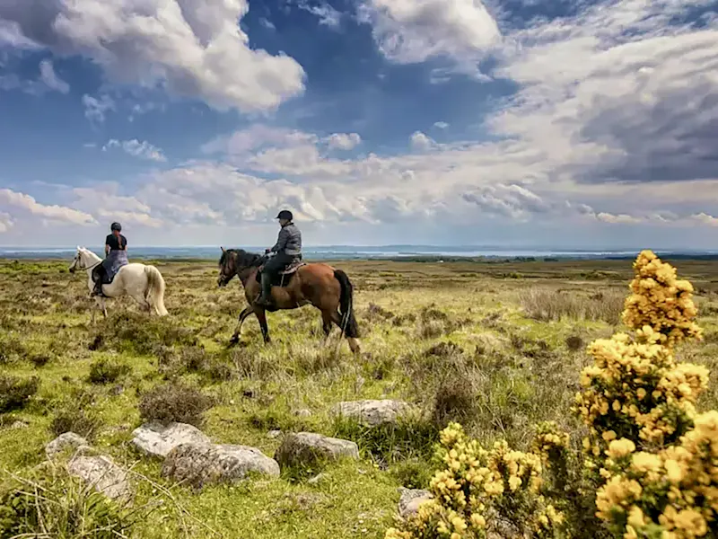 Irland, Reiten Zwei Reiter durchqueren eine weite Moorlandschaft unter dramatischem Himmel, Irland.