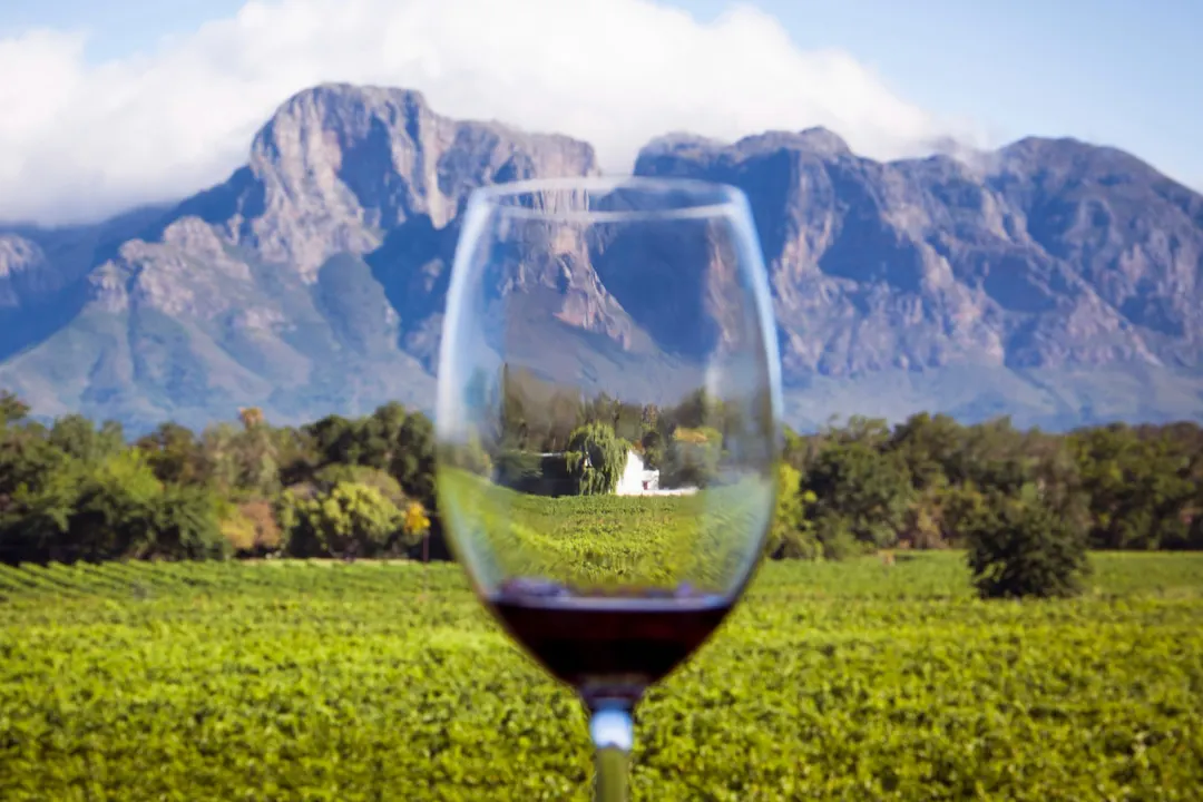 Route des vins, Stellenbosch, Afrique du Sud