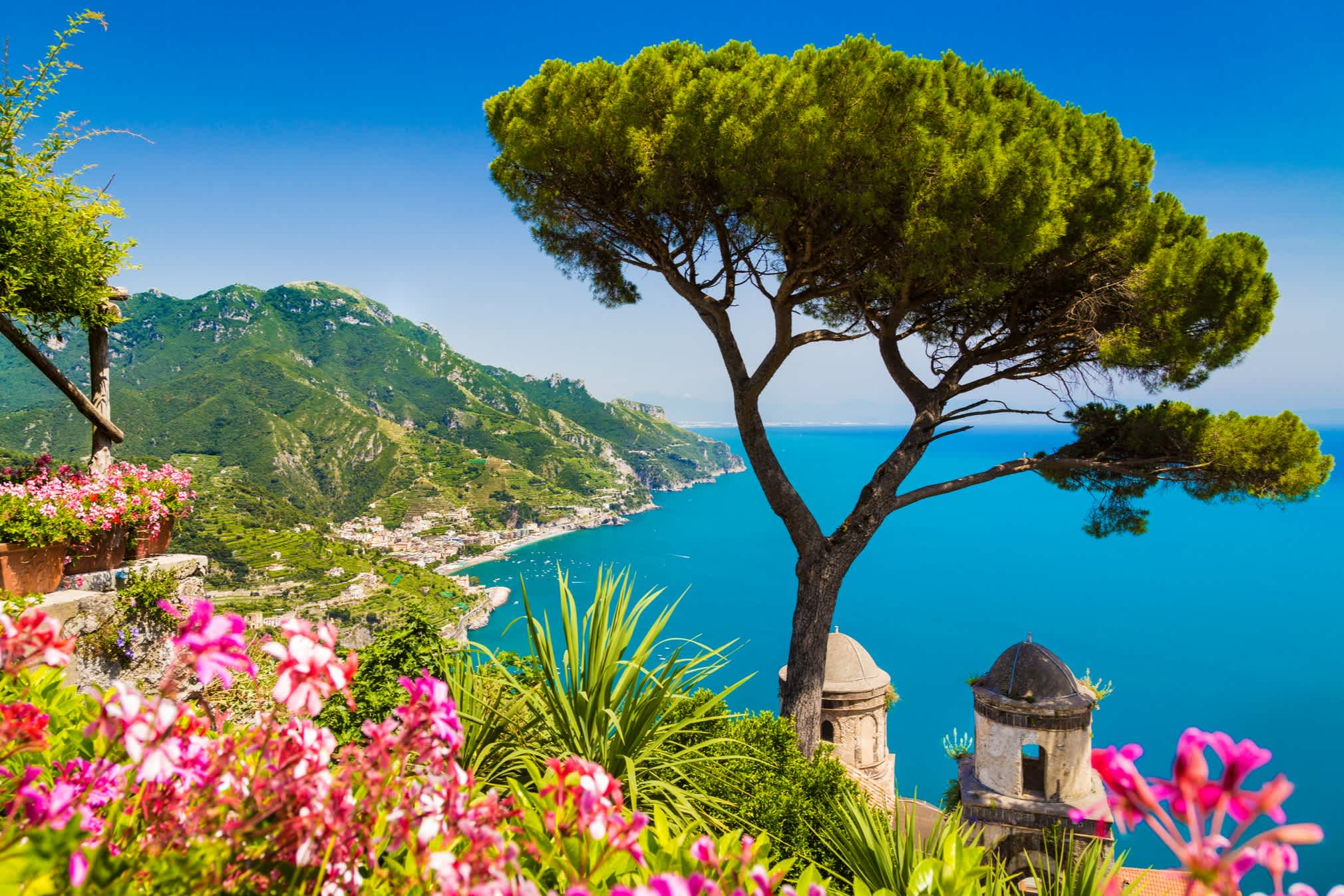Capri von oben aus gesehen mit einem Baum, Blumen und dem Meer