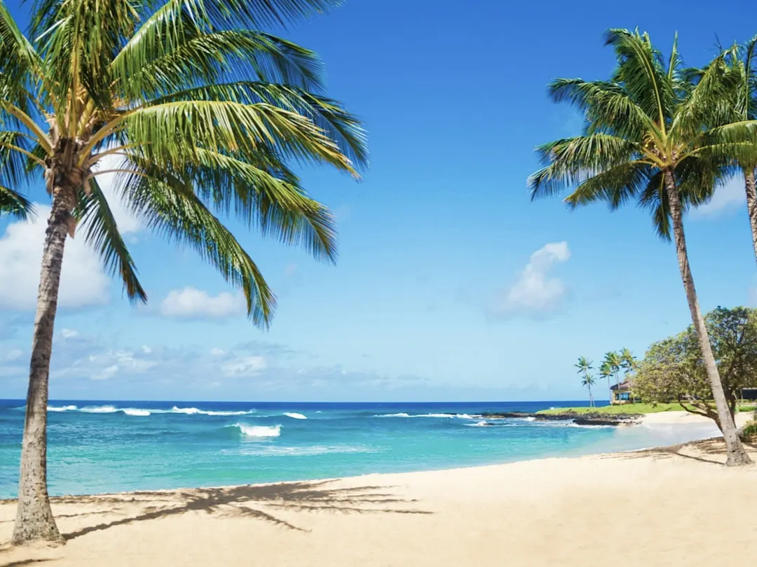 Poipu Beach auf Kauai, Hawaii, ist berühmt für seine goldenen Sandstrände, kristallklares Wasser und die Möglichkeit, Meeresschildkröten und Delfine zu beobachten