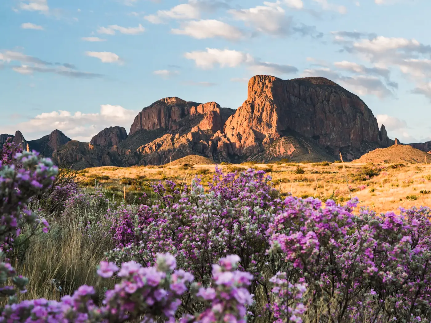 USA, Texas, El Paso, Guadalupe Mountains National Park Steile Gipfel im Guadalupe Mountains National Park mit leuchtenden Herbstfarben. El Paso, Texas, USA.