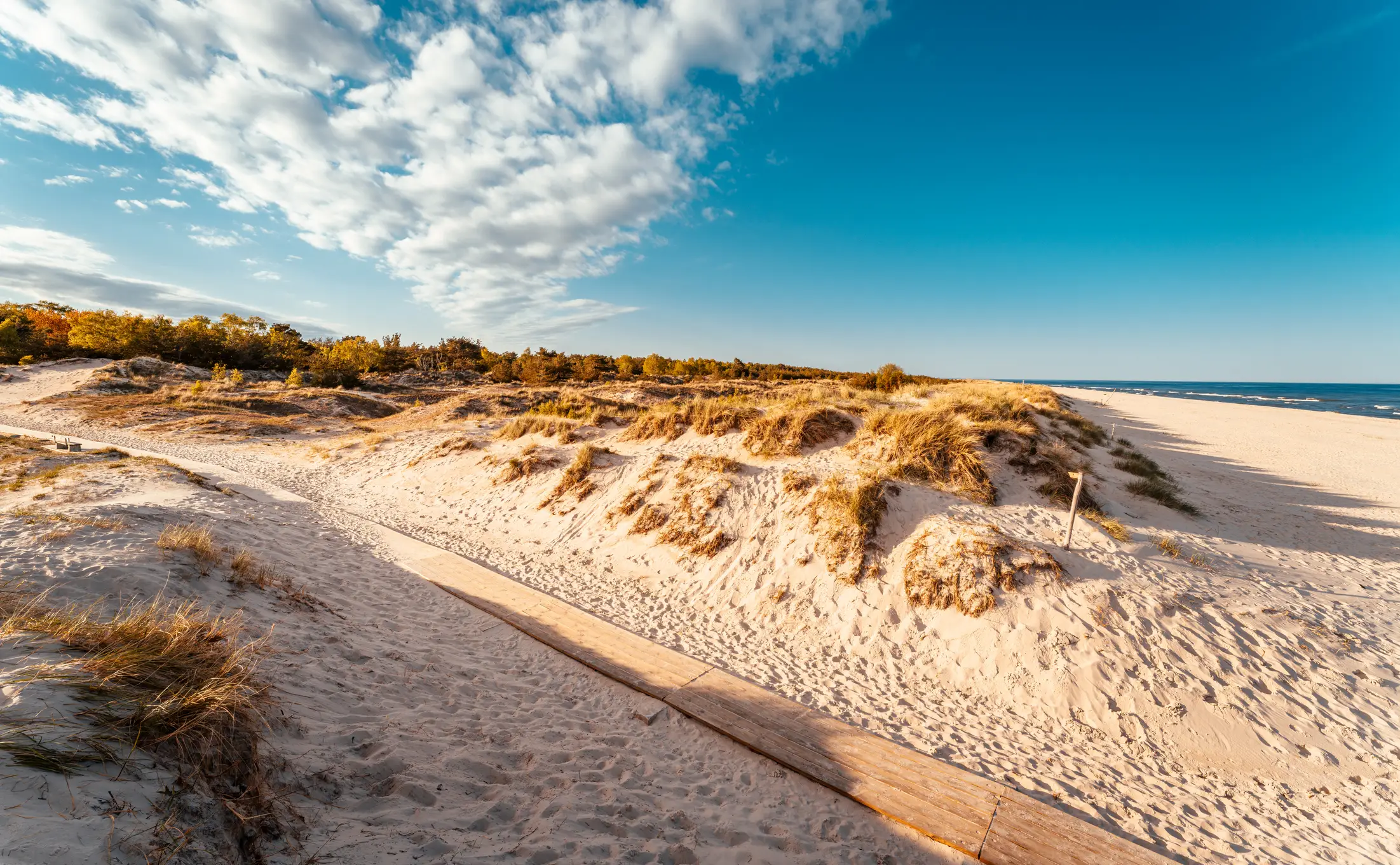 Sandhammaren, Skåne Sandhammaren, Skåne