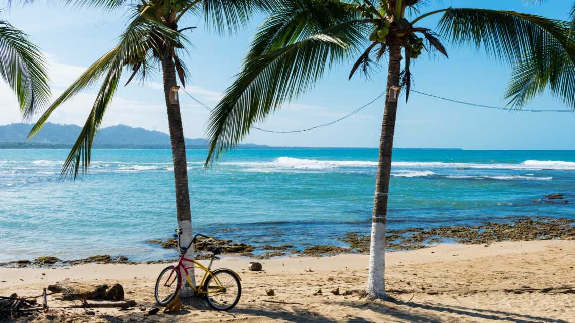 Vue d'une plage avec des palmiers à Puerto Viejo de Talamanca, Costa Rica, Amérique centrale