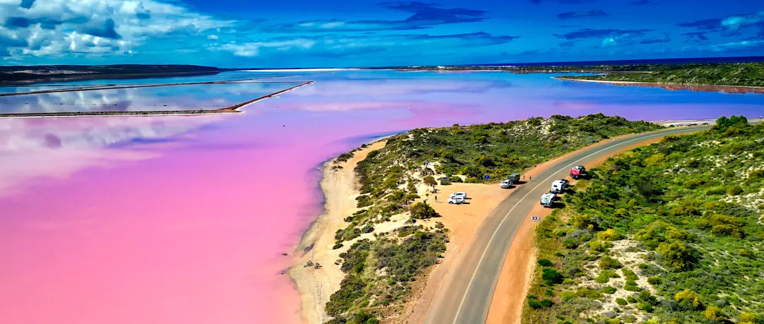 Luftaufnahme der Hutt Lagoon mit leuchtend rosa Wasser, gesäumt von einer kurvigen Straße. Hutt Lagoon, Westaustralien, Australien