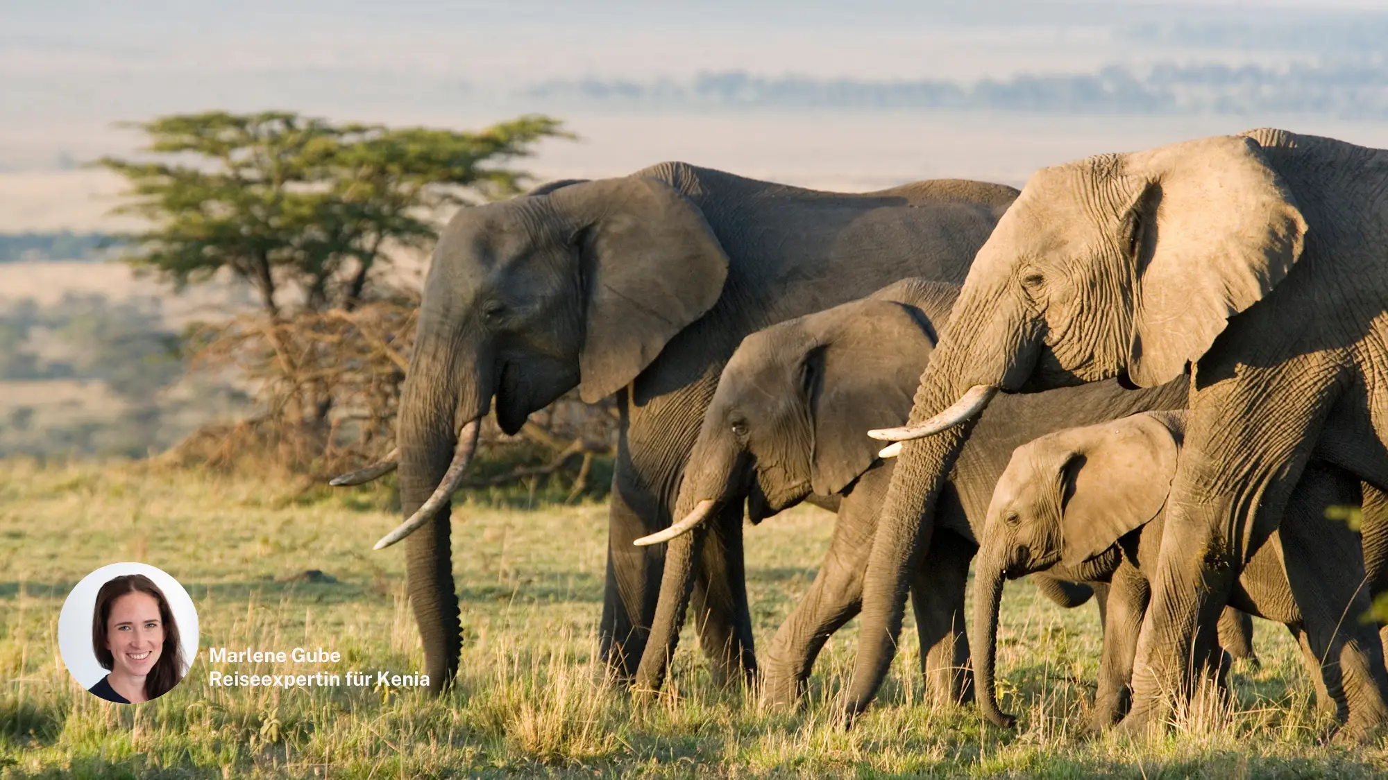 Kenia, Reiseexperte Kenia, Reiseexperte