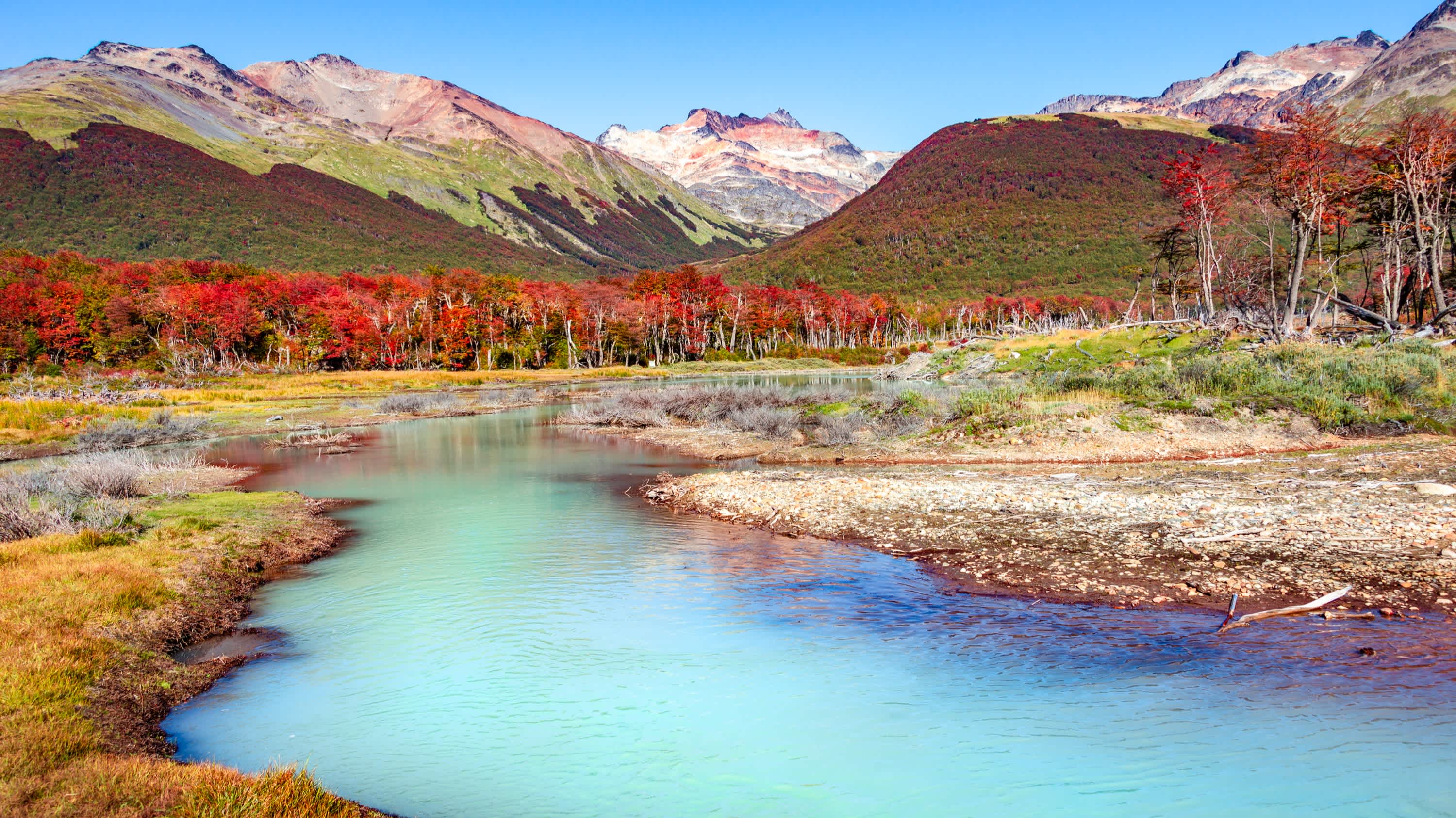 Landschaft des Lenga-Waldes, Berge im Nationalpark Tierra del Fuego, Patagonien, Chile