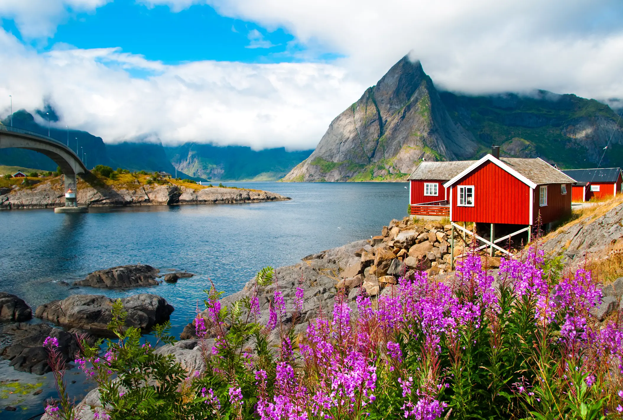 Landscape with red fishermen's houses in Lofoten, Norway