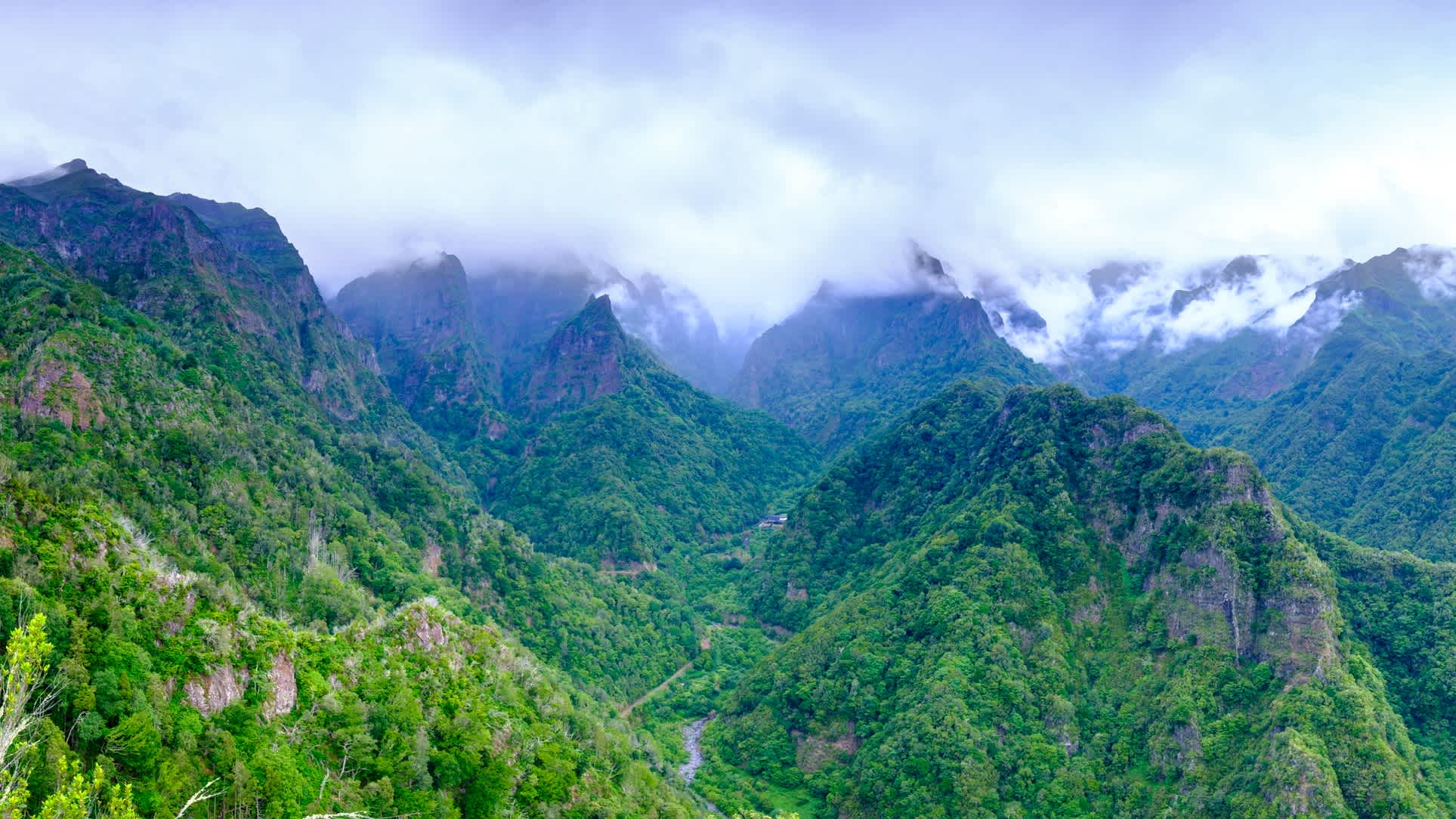 Panoramablick über die grünen Berge von levada Balcoes, Madeira, Portugal