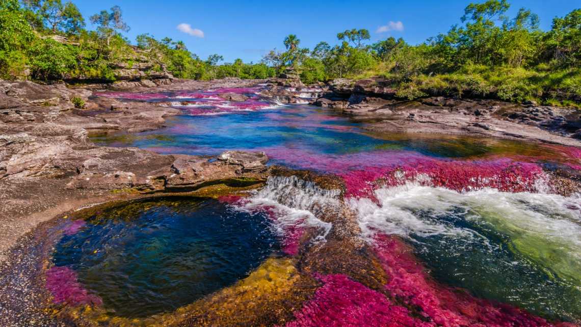 Rivière à cinq couleurs au centre de la Colombie dans la région du Meta