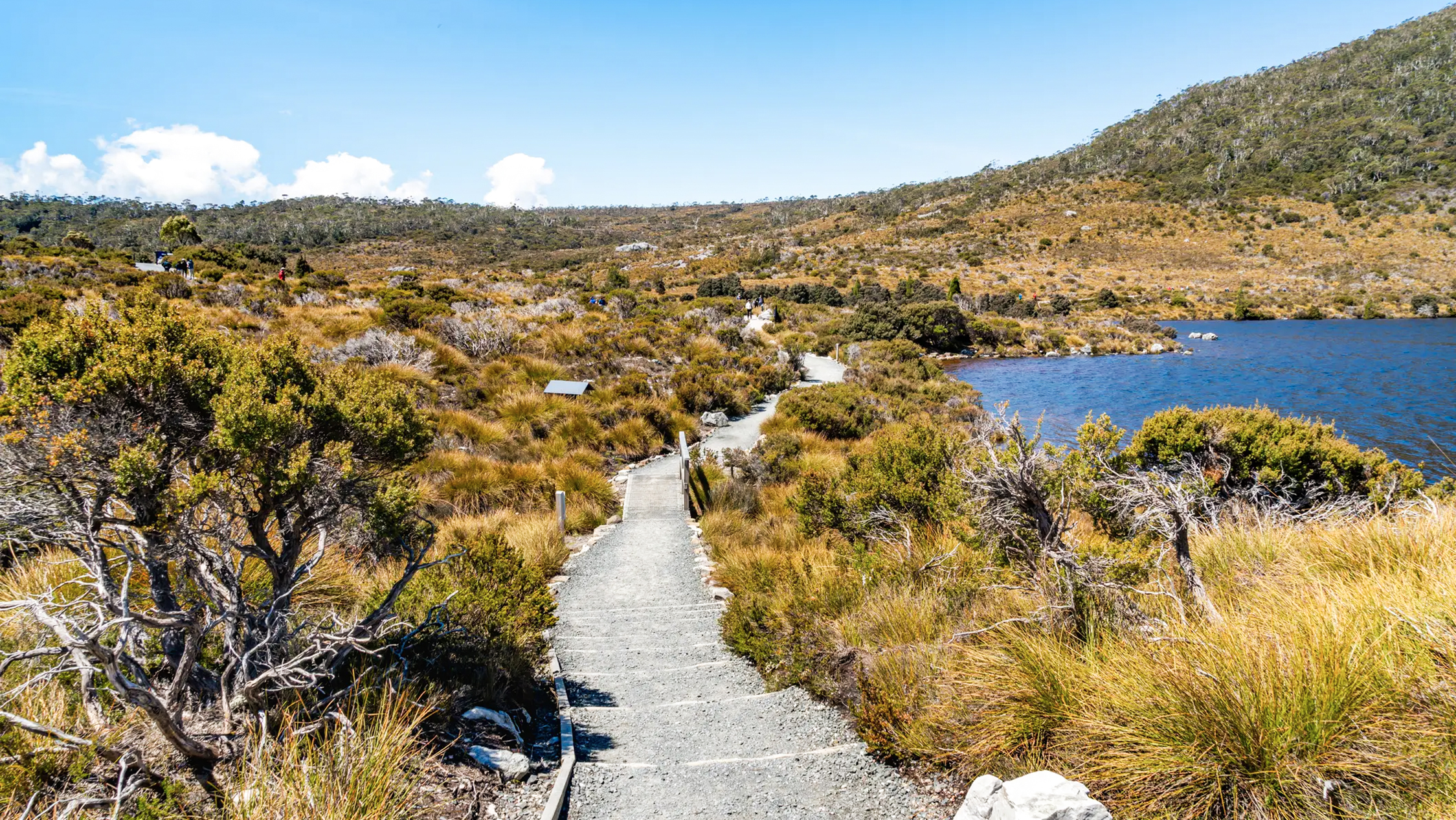 Beste Reisezeit für Tasmanien: Klima, Wetter & Tipps | Tourlane