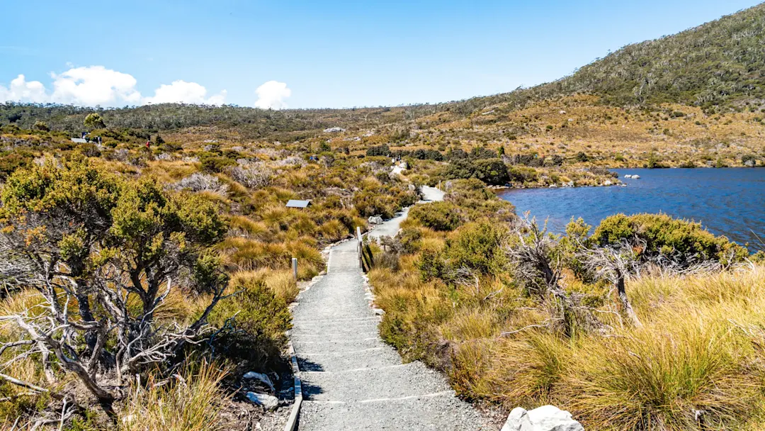 Pfad durch trockene Landschaft mit See unter blauem Himmel. Cradle Mountain, Tasmanien, Australien